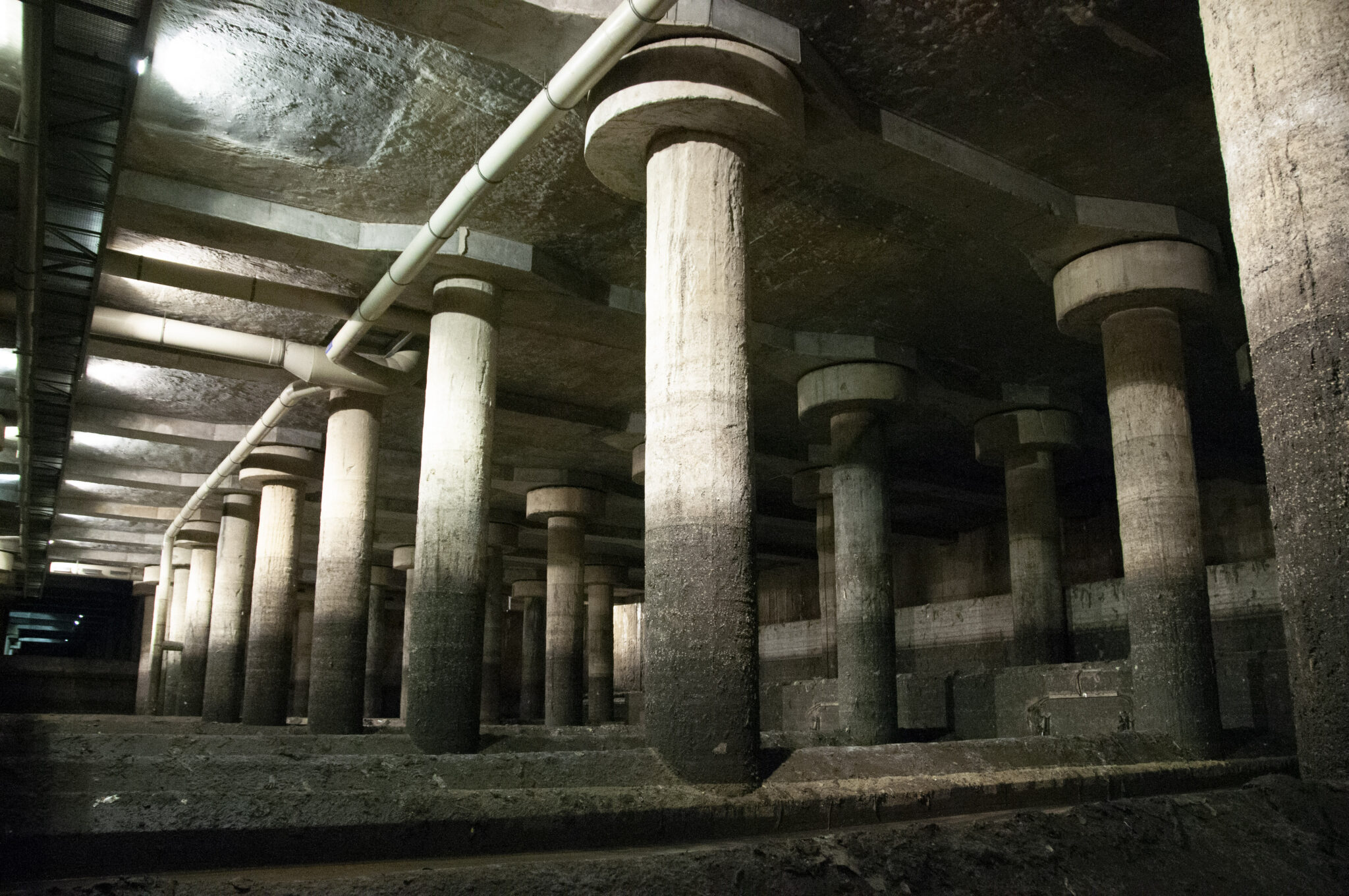 Institute for Postnatural Studies, project: WET DREAMS (fig. 5)