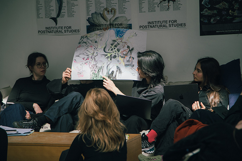 Institute for Postnatural Studies, course: POSTNATURAL INDEPENDENT PROGRAM 2027 (fig. 26)