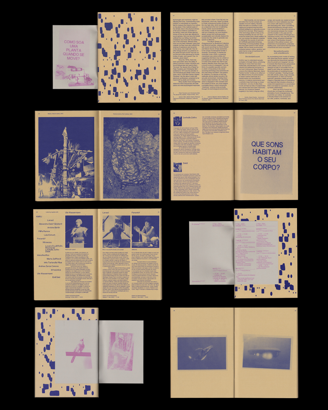 Institute for Postnatural Studies, project: THE LISTENING AFFECT (fig. 17)