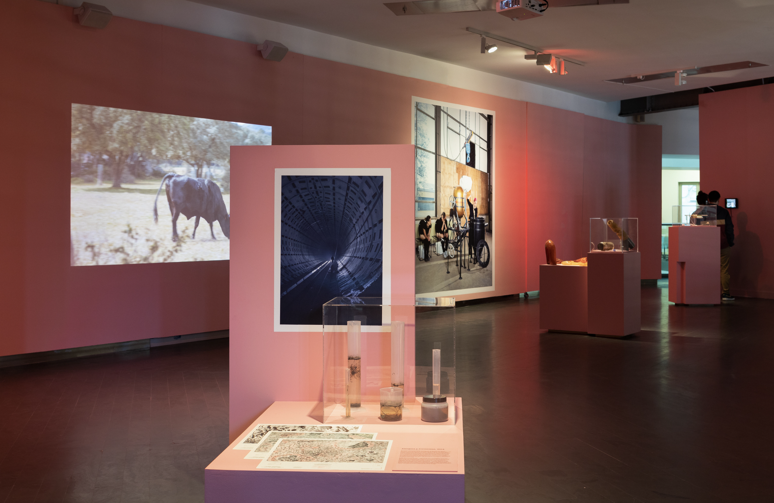 Institute for Postnatural Studies, project: WET DREAMS (fig. 1)