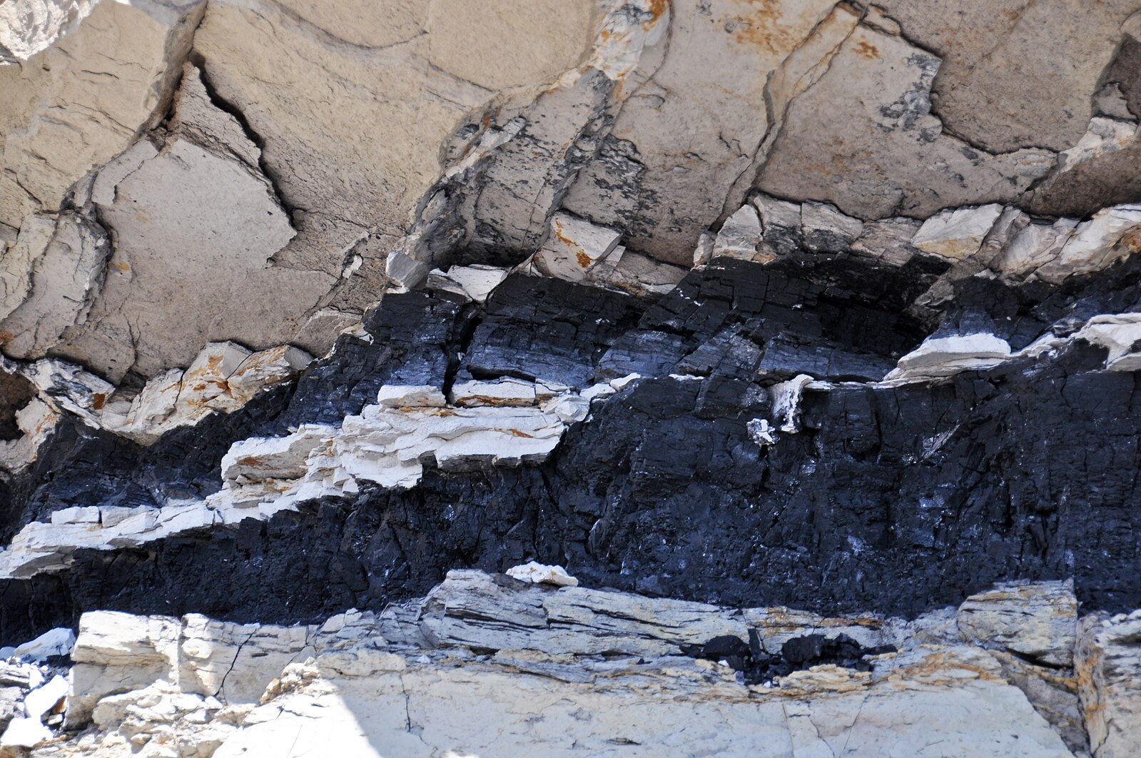 Institute for Postnatural Studies, course: POSTNATURAL MATTER (fig. 3)