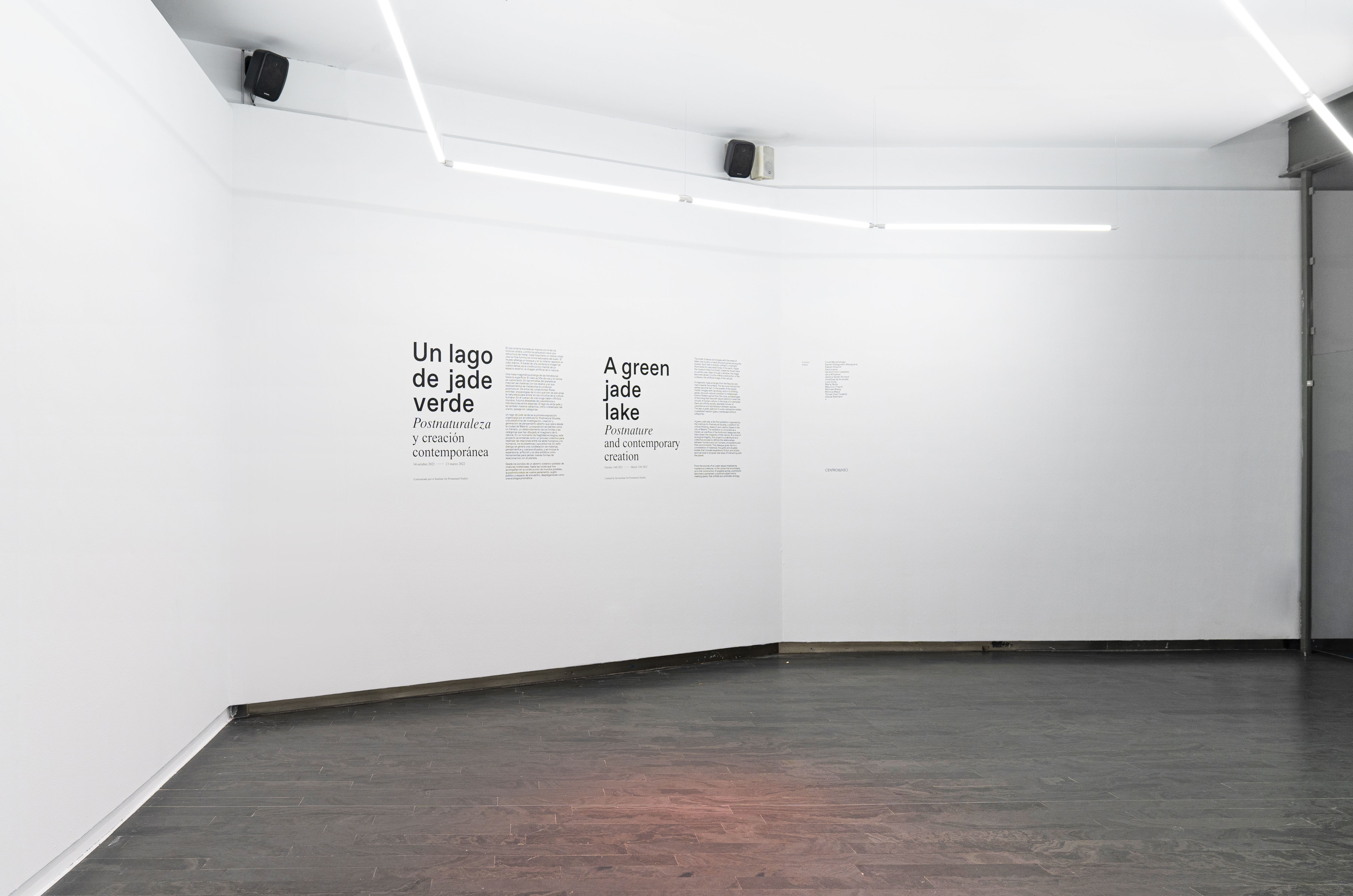 Institute for Postnatural Studies, project: A Green Jade Lake (fig. 16)