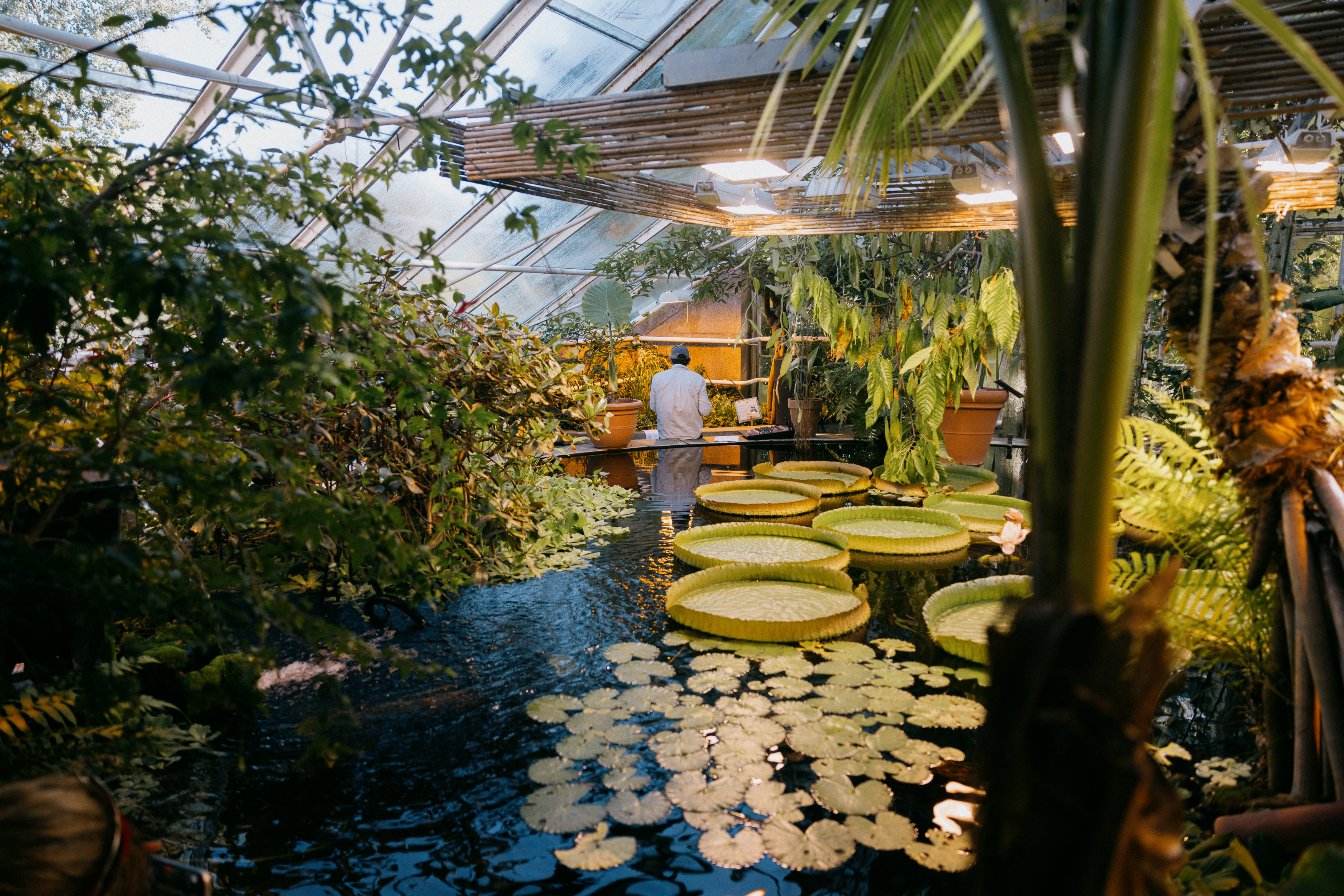 Institute for Postnatural Studies, project: HotHouse Flowers (thumbnail landscape)