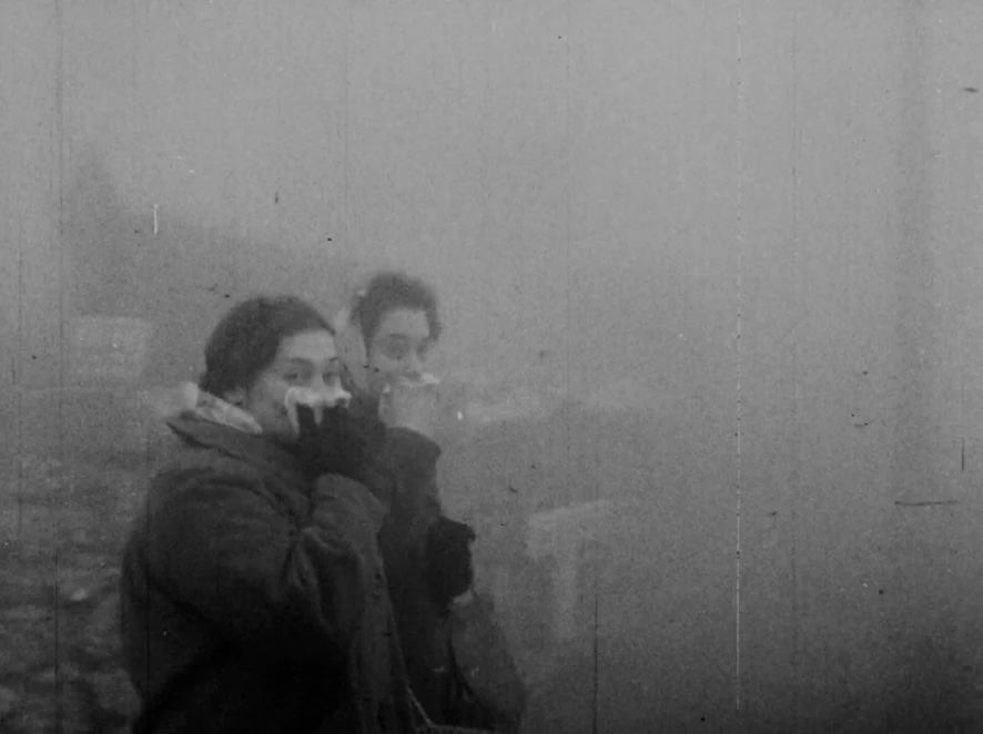 Institute for Postnatural Studies, project: FLUID TOXICITY (fig. 2)