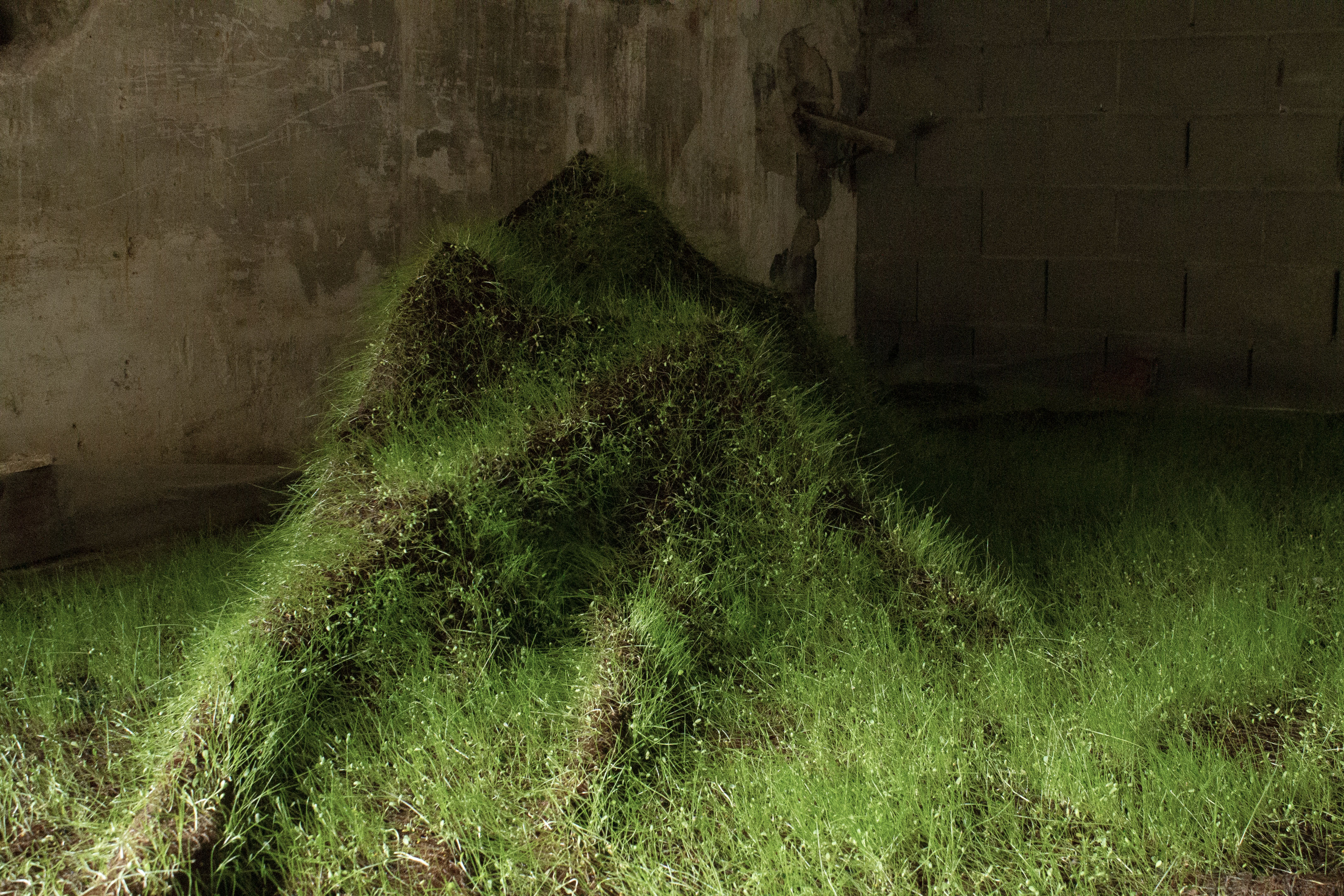 Institute for Postnatural Studies, activity: PAULA BRUNA (thumbnail landscape)