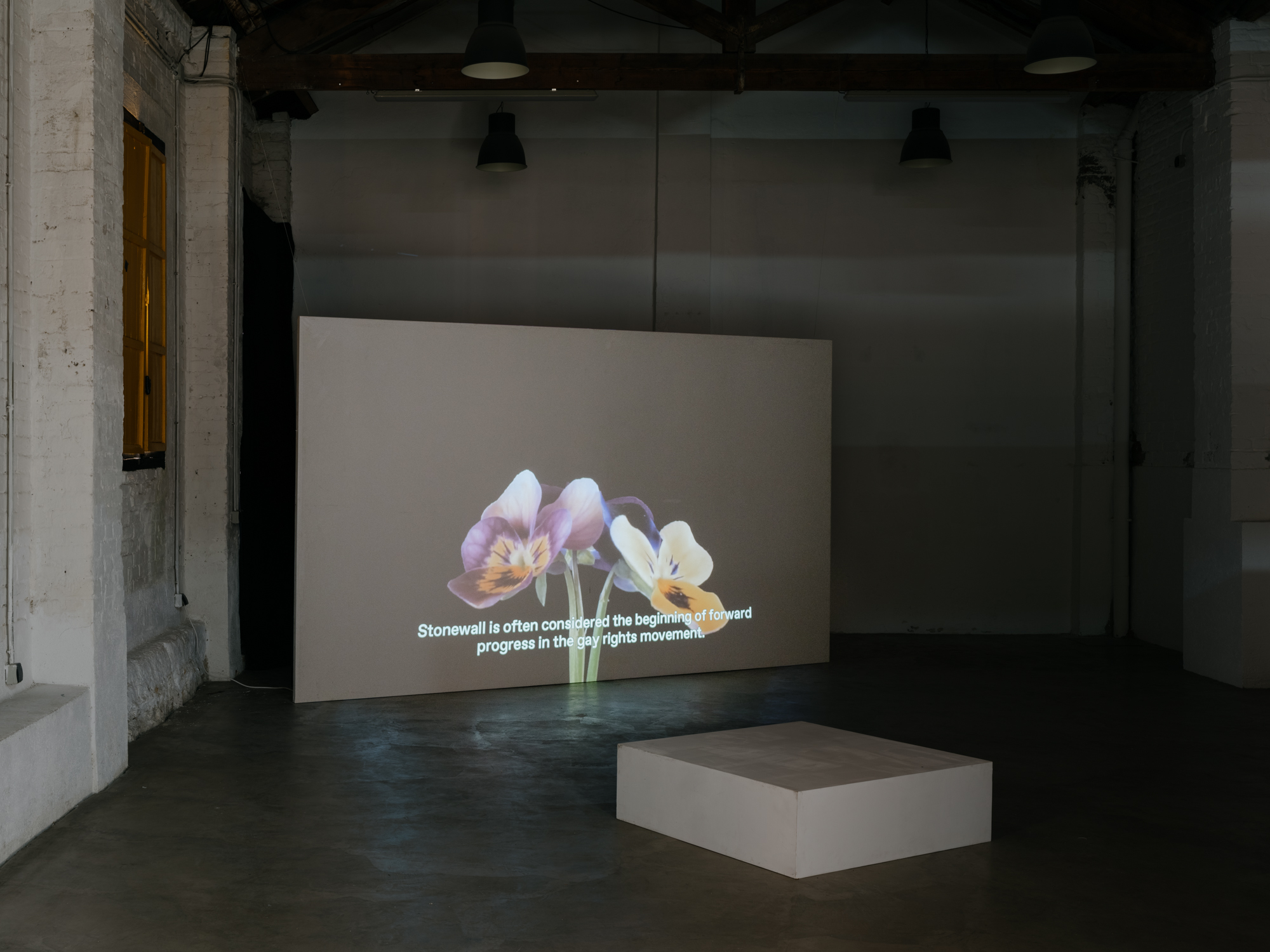 Institute for Postnatural Studies, project: Peyōni (fig. 2)