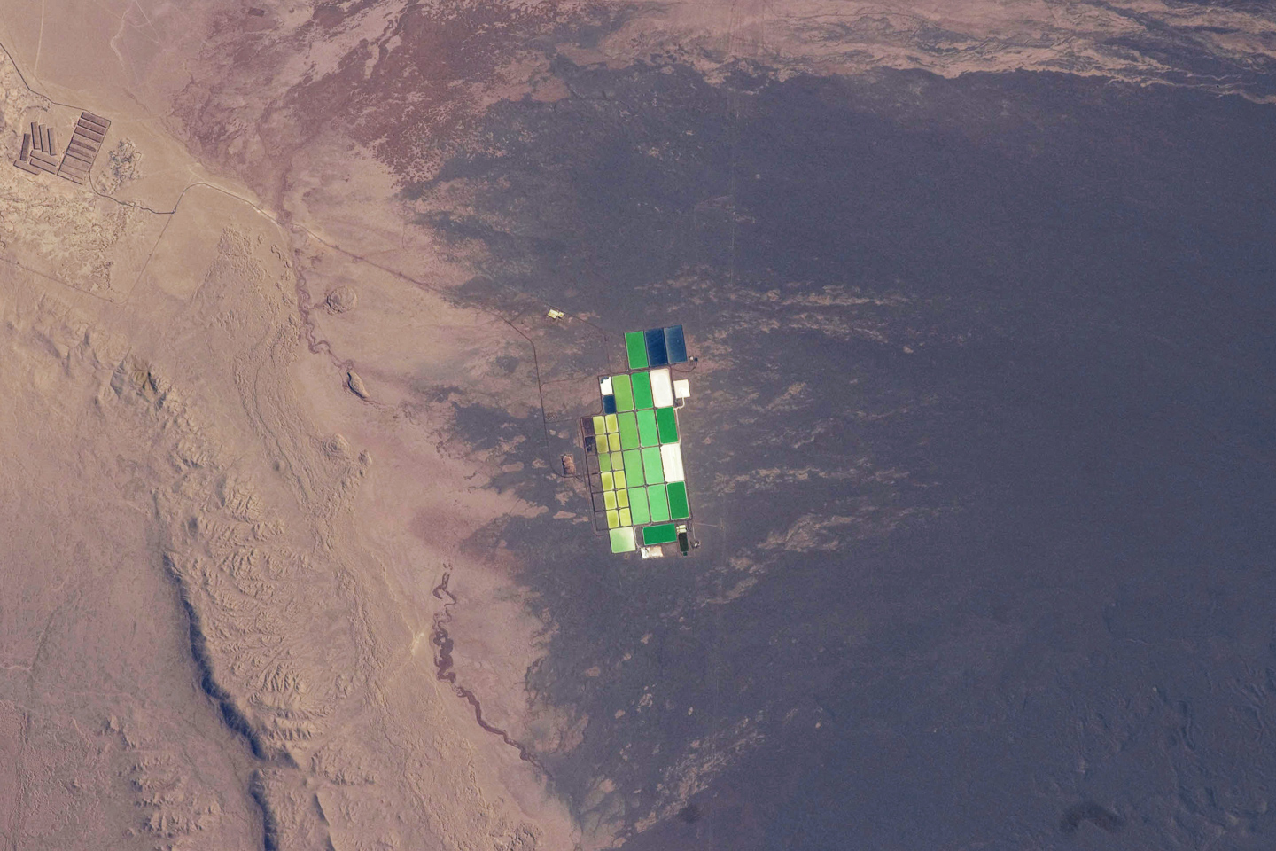Institute for Postnatural Studies, project: INTERIOR ECOLOGIES 2023: ECOLOGIES OF MEDIA (fig. 3)
