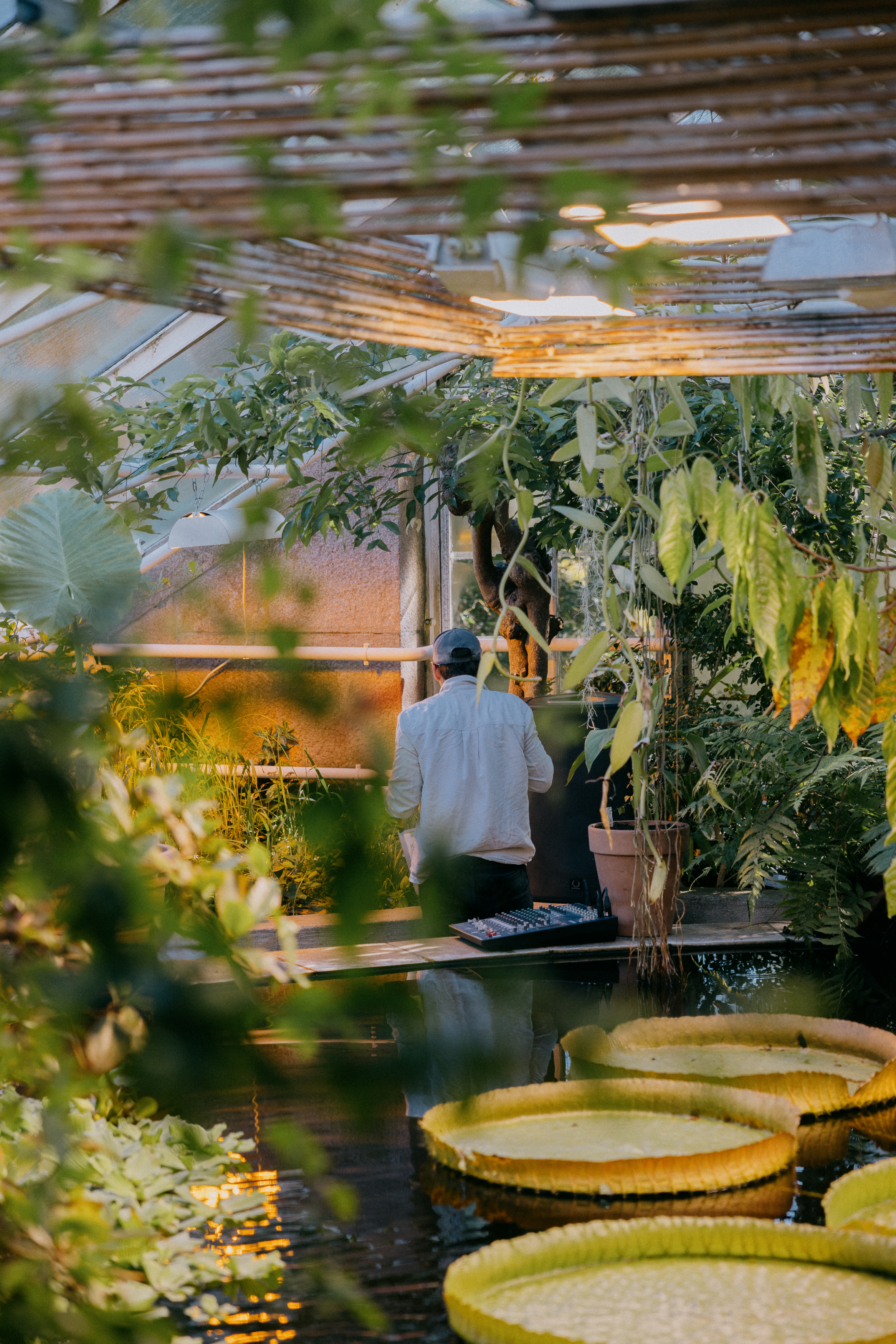 Institute for Postnatural Studies, project: HotHouse Flowers (fig. 2)