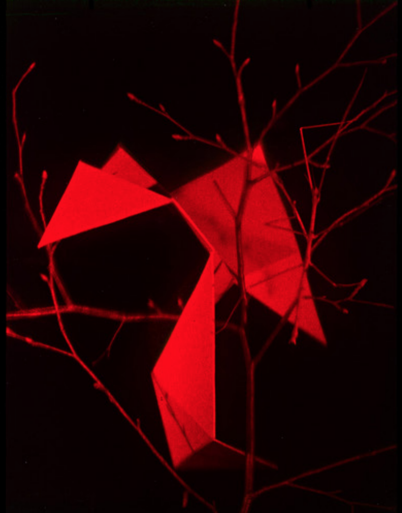 Institute for Postnatural Studies, project: A Green Jade Lake (fig. 6)