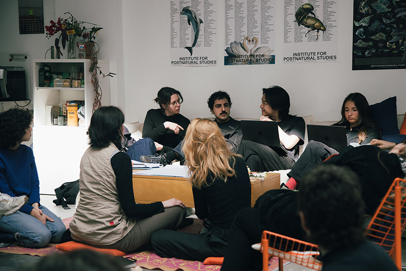 Institute for Postnatural Studies, course: POSTNATURAL INDEPENDENT PROGRAM 2027 (fig. 31)