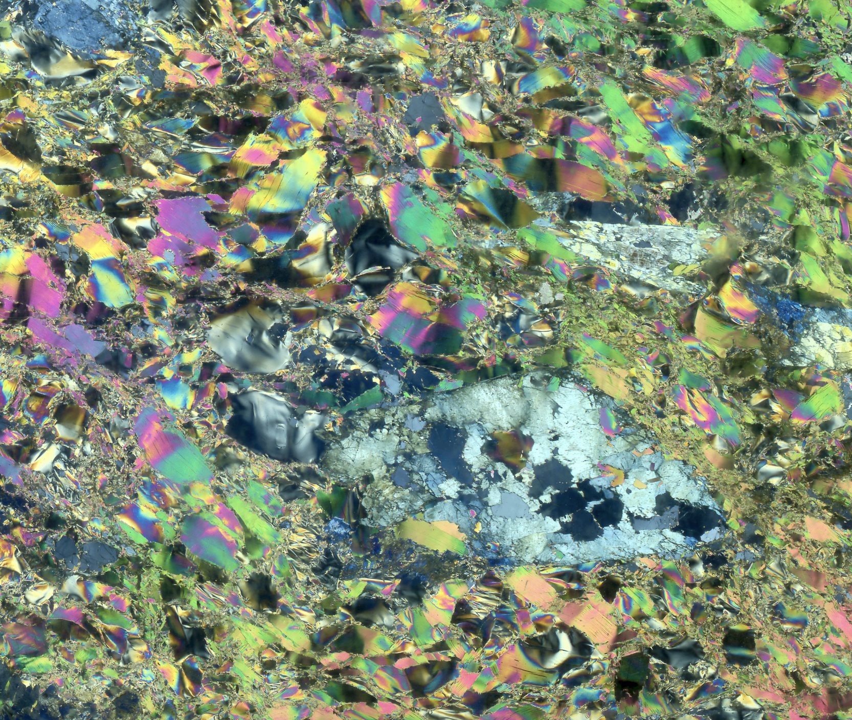 Institute for Postnatural Studies, episode: SPECULATIVE INTERVIEWS VOL. 1 (thumbnail)