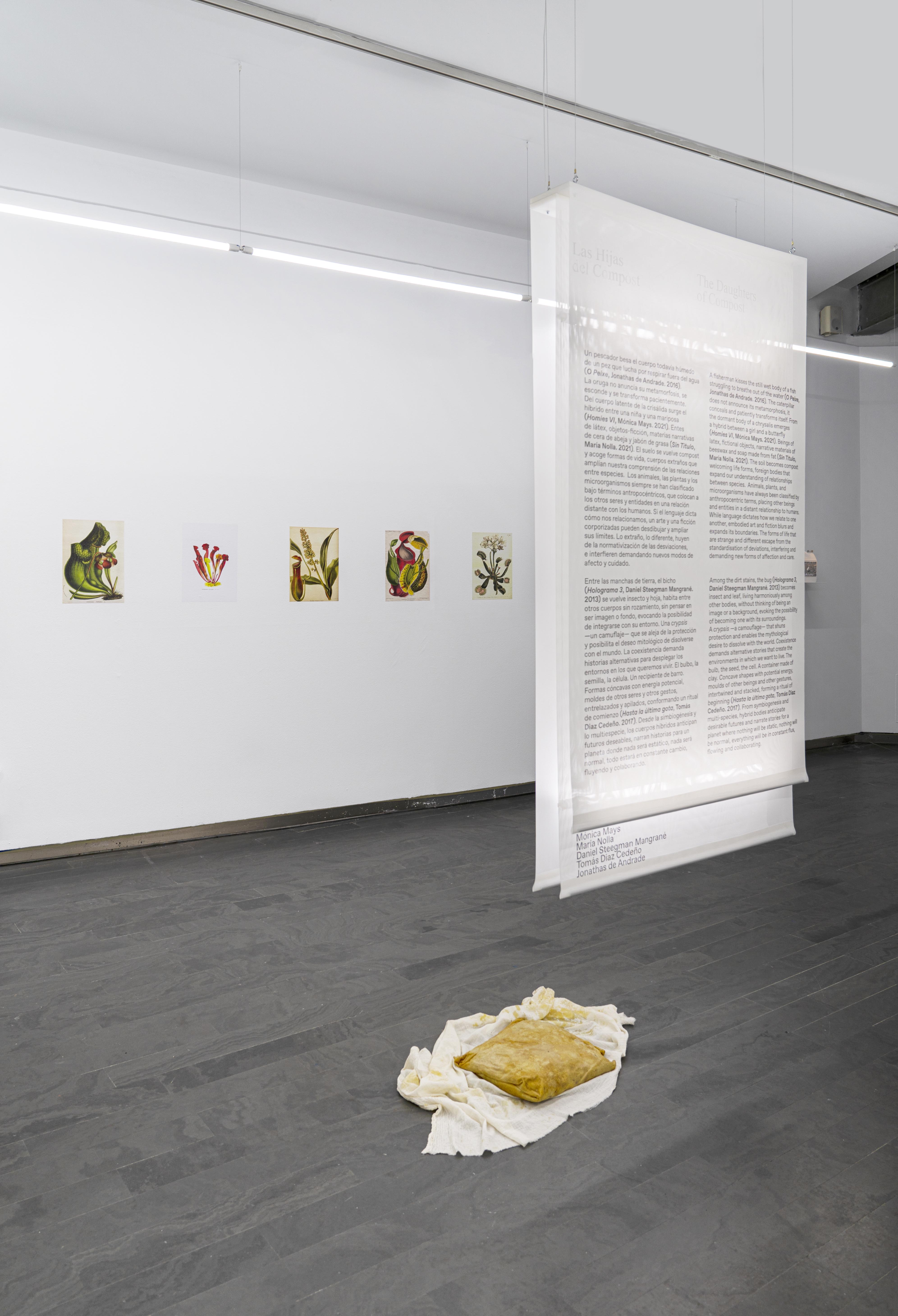 Institute for Postnatural Studies, project: A Green Jade Lake (fig. 17)