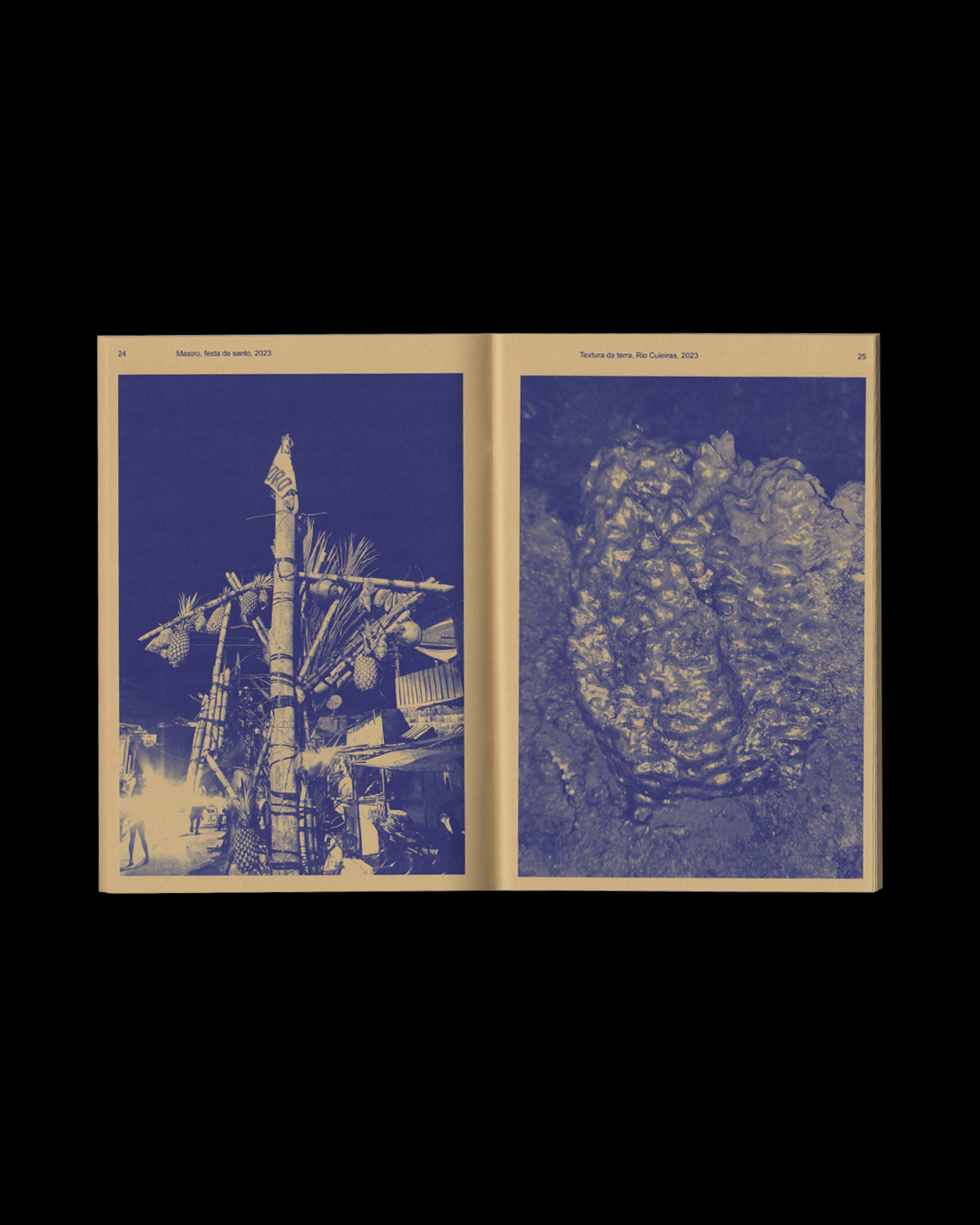 Institute for Postnatural Studies, project: THE LISTENING AFFECT (fig. 20)