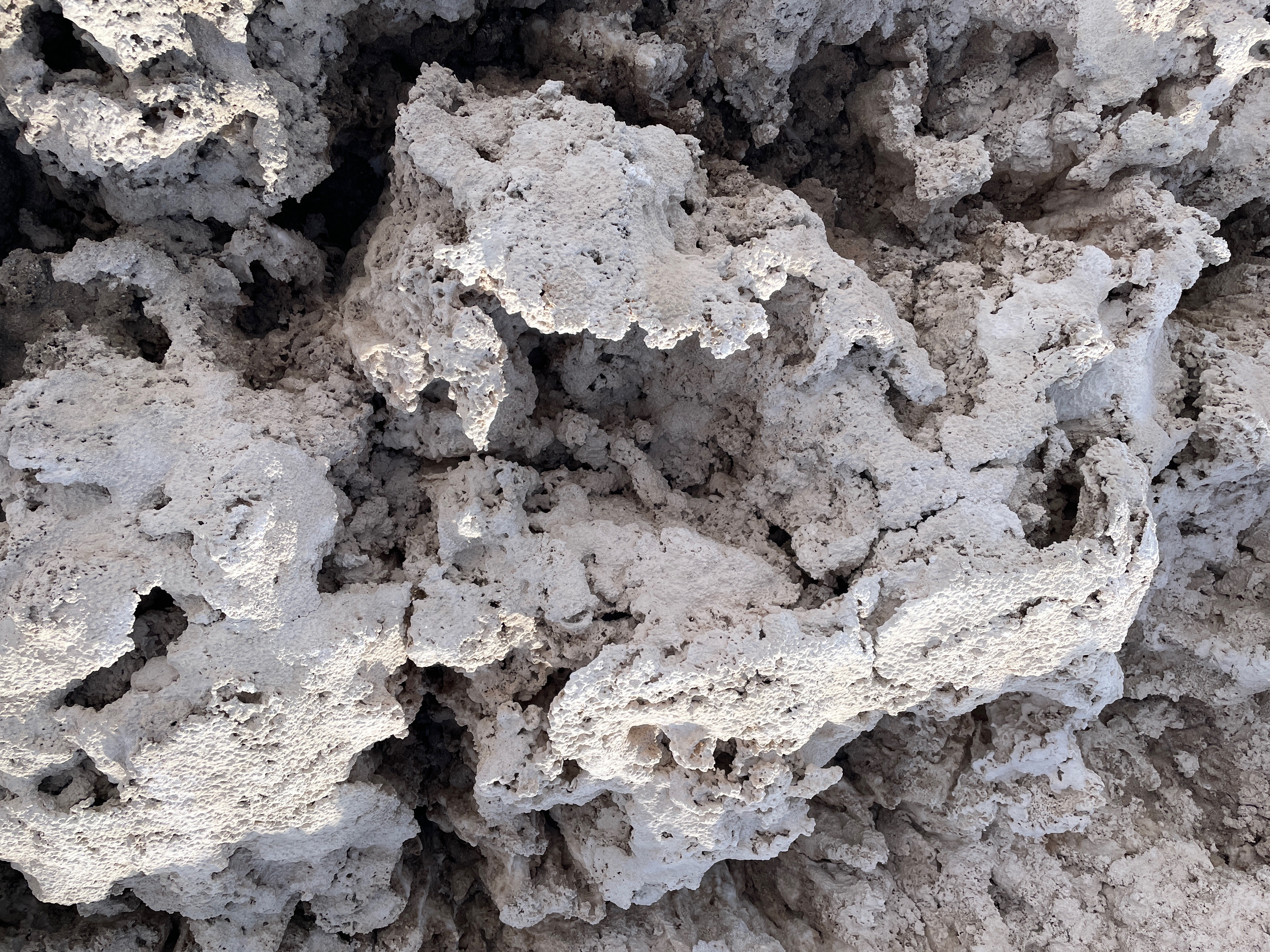 Institute for Postnatural Studies, playlist: Stromatolites and Other Lovers by Sara Willa, Martina Camani*, Joanna Wierzbicka, Javiera Peón-Veiga, anna ivanova (thumbnail)