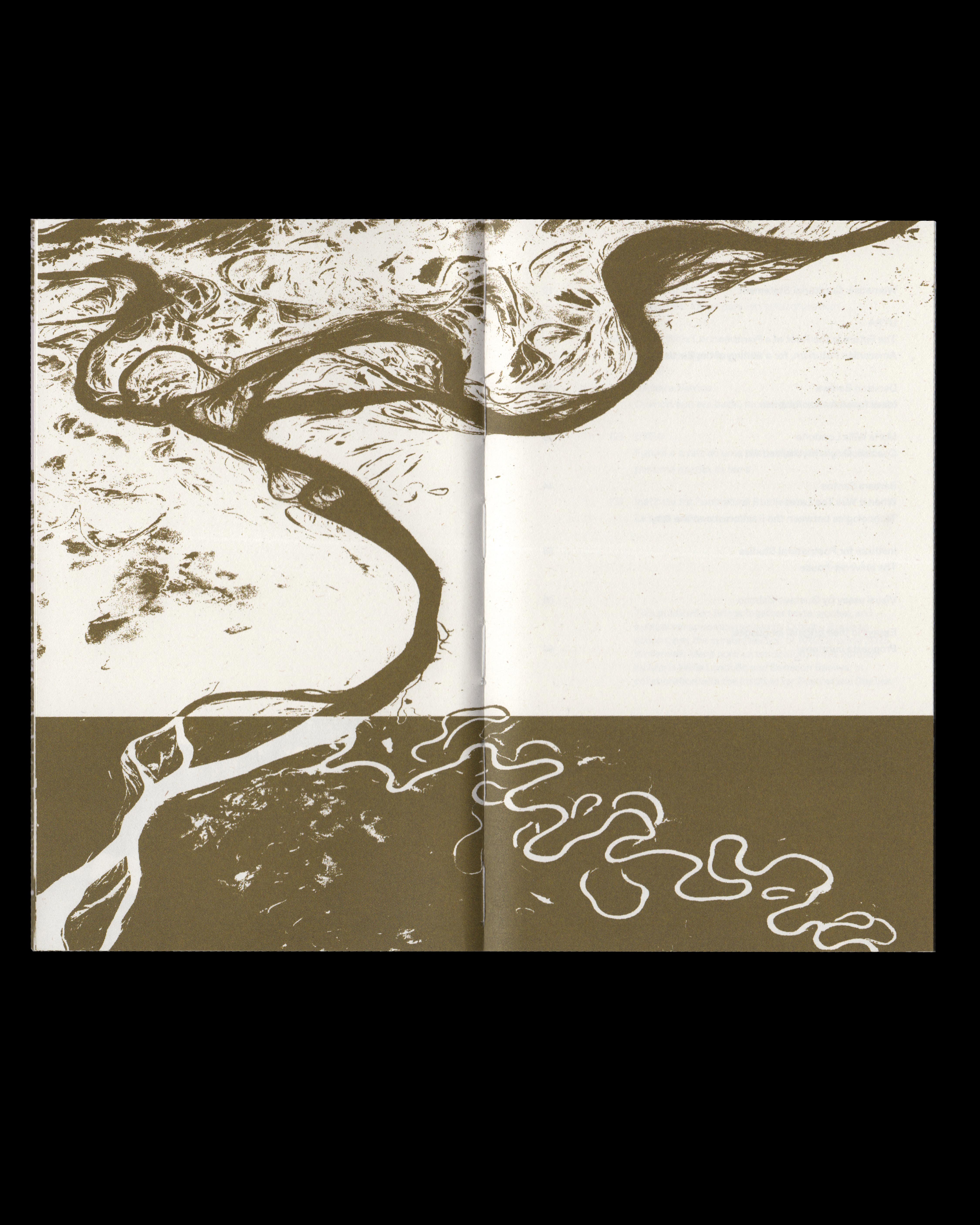 Institute for Postnatural Studies, project: Wametisé: Ideas for an Amazofuturism—ARCO 2025 (fig. 19)