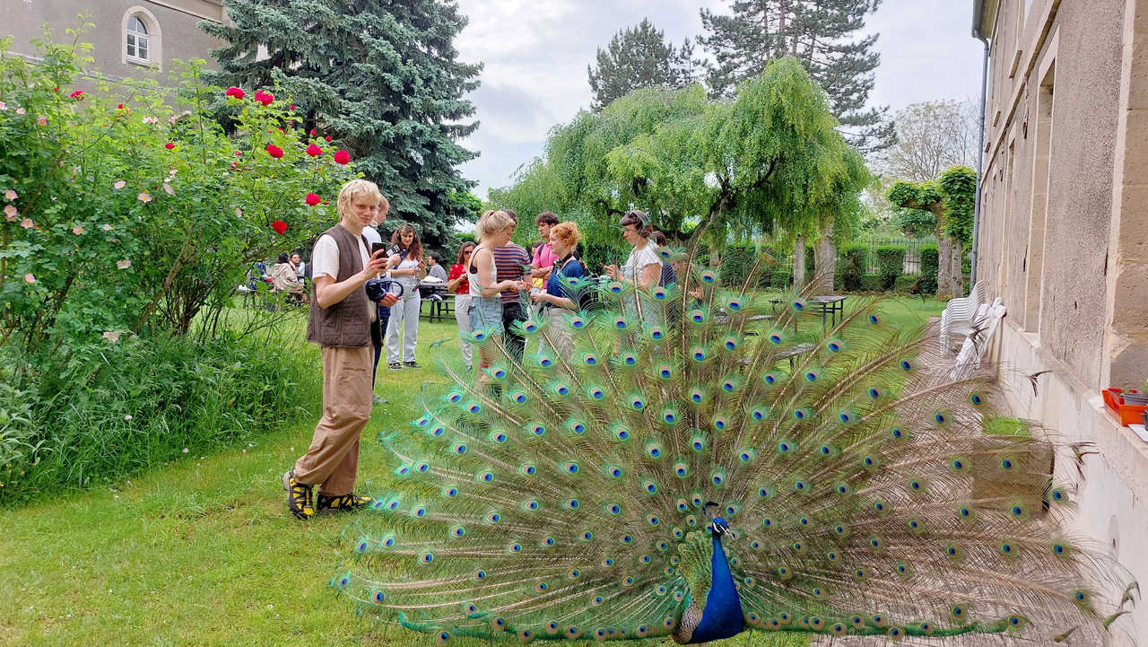 Institute for Postnatural Studies, course: ALTERNATIVE ECOLOGIES POSTGRADUATE PROGRAM (fig. 11)