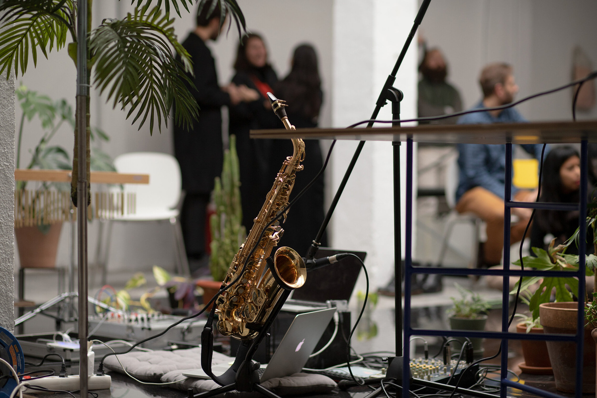 Institute for Postnatural Studies, activity: TUINDERLUSTEN: CONCERT FOR PLANTS (fig. 2)