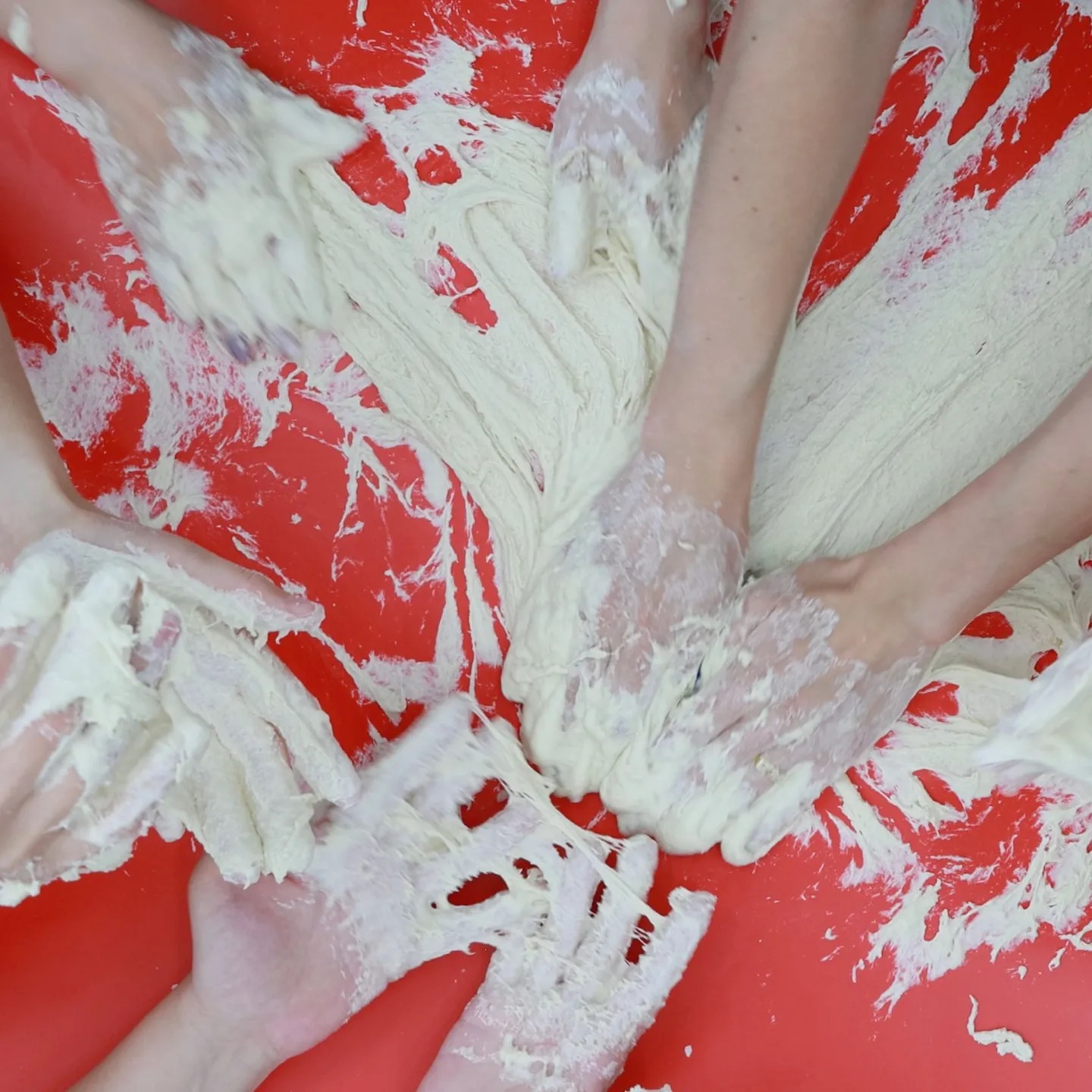 Institute for Postnatural Studies, playlist: Alchemical Metabolism – In Conversation with Emanuele Coccia by Jan Araújo, Lena Becerra, Helen Yin Chen, Tuçe Erel, Helene Schulze (thumbnail)