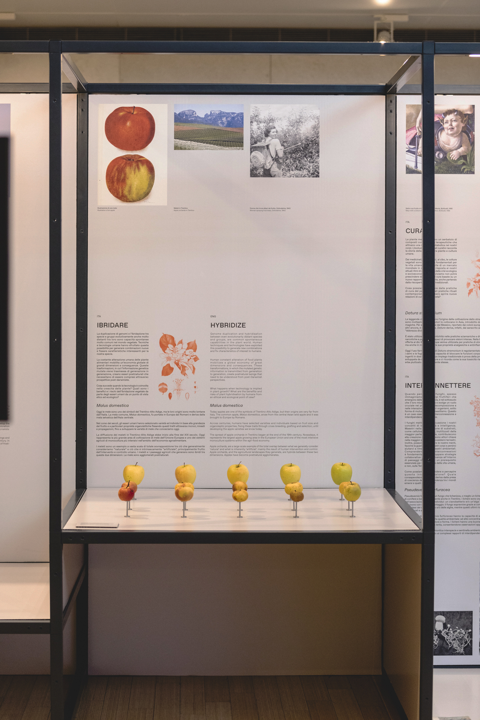 Institute for Postnatural Studies, project: Postnatural Gardening: Ecological practices for interspecies care (fig. 6)