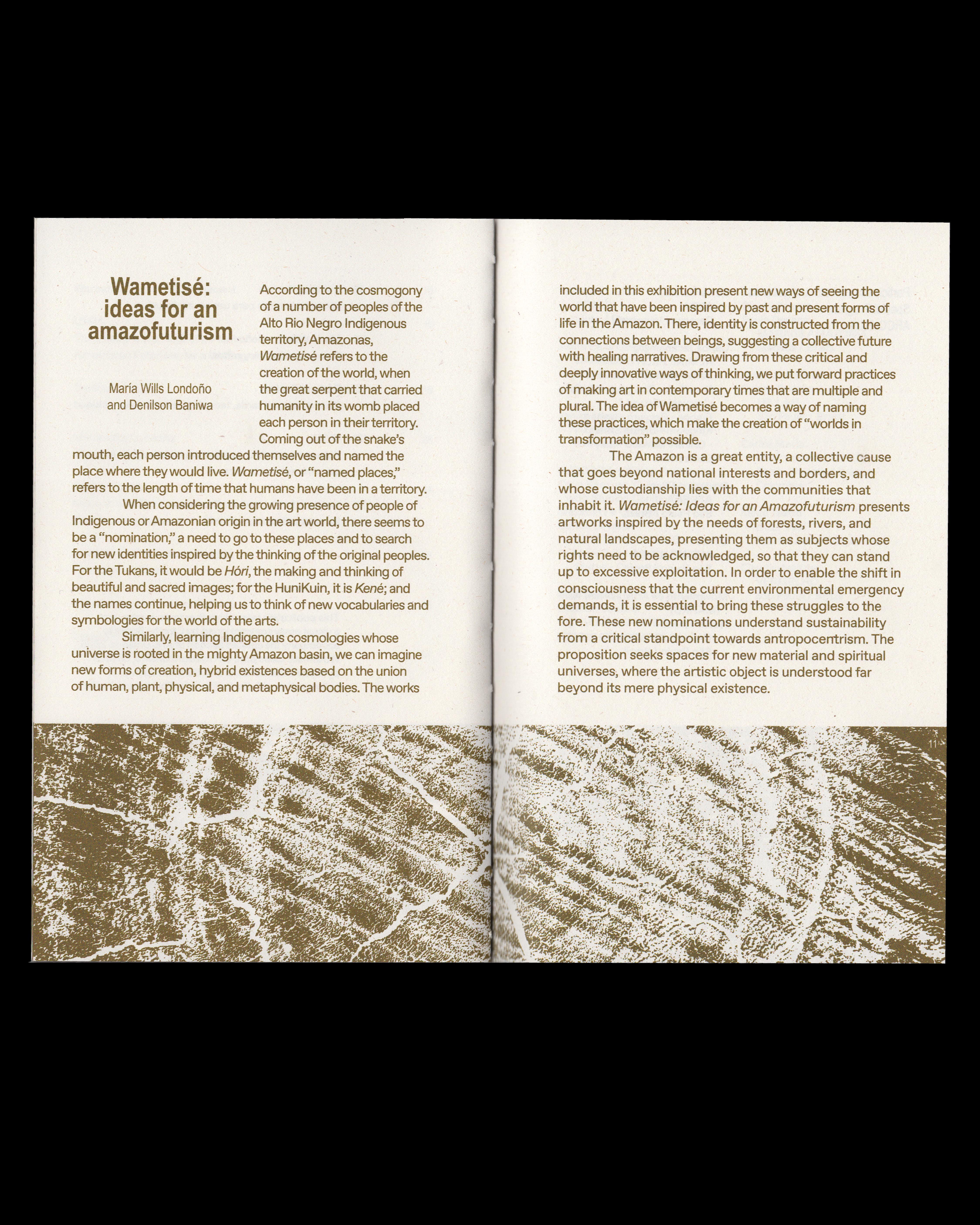 Institute for Postnatural Studies, project: Wametisé: Ideas for an Amazofuturism—ARCO 2025 (fig. 16)