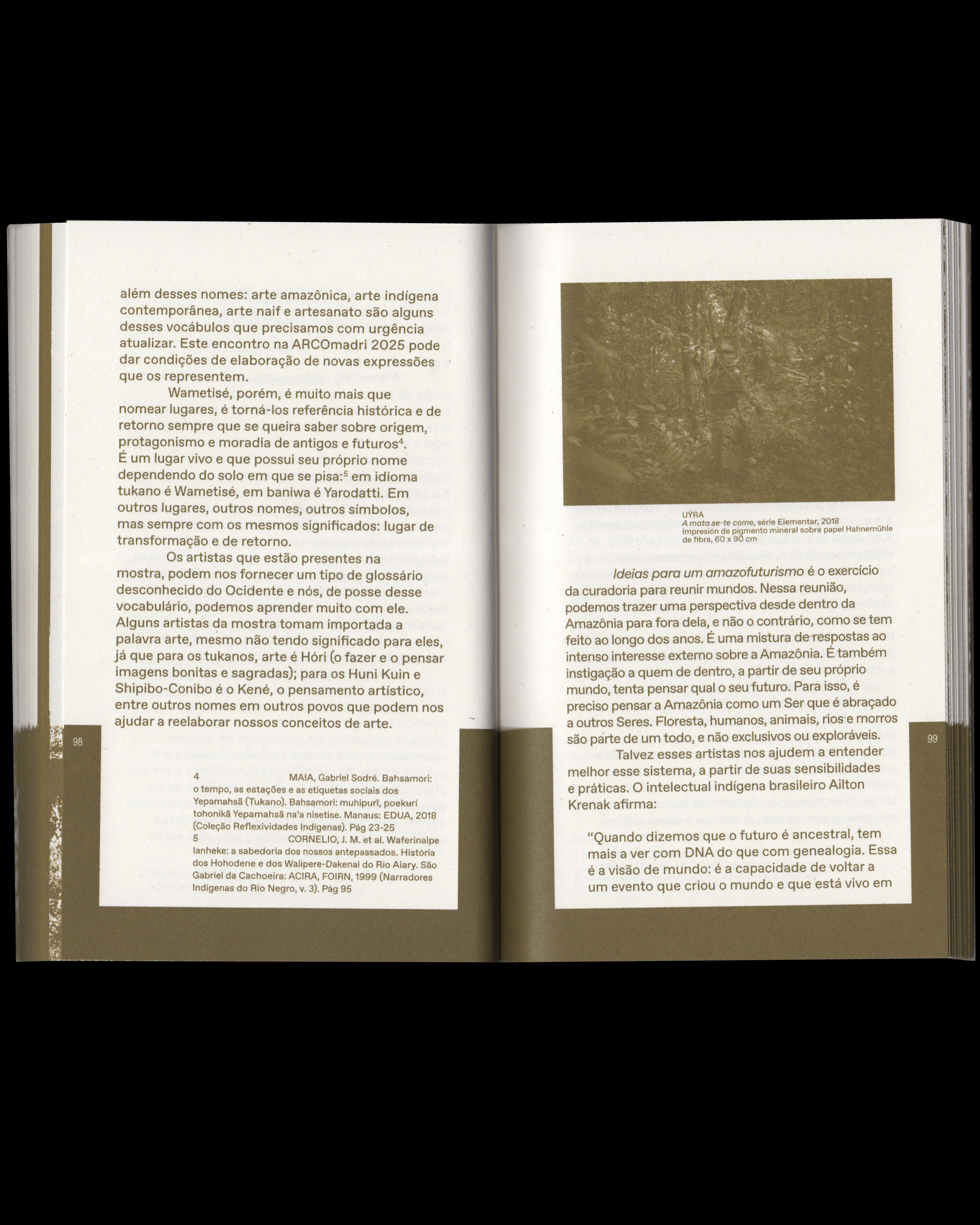 Institute for Postnatural Studies, project: Wametisé: Ideas for an Amazofuturism—ARCO 2025 (fig. 17)