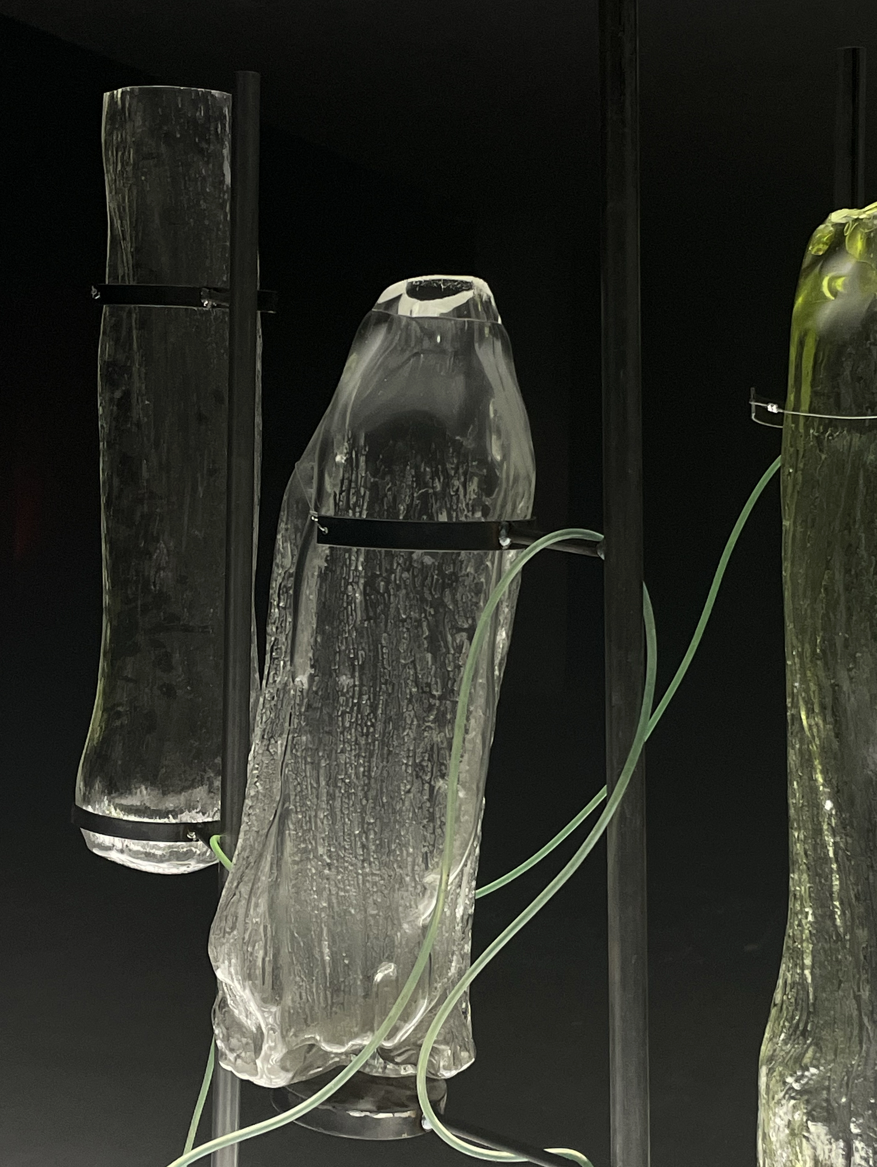 Institute for Postnatural Studies, project: ASHTE (fig. 1)