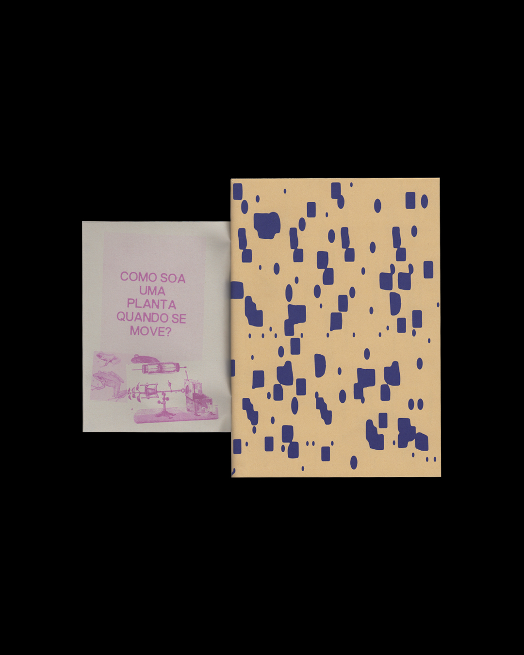 Institute for Postnatural Studies, project: THE LISTENING AFFECT (fig. 18)