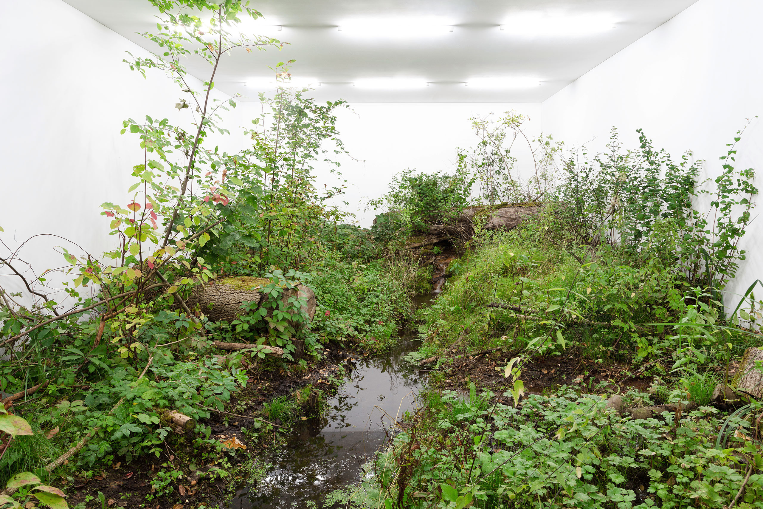 Institute for Postnatural Studies, project: A Green Jade Lake (fig. 5)