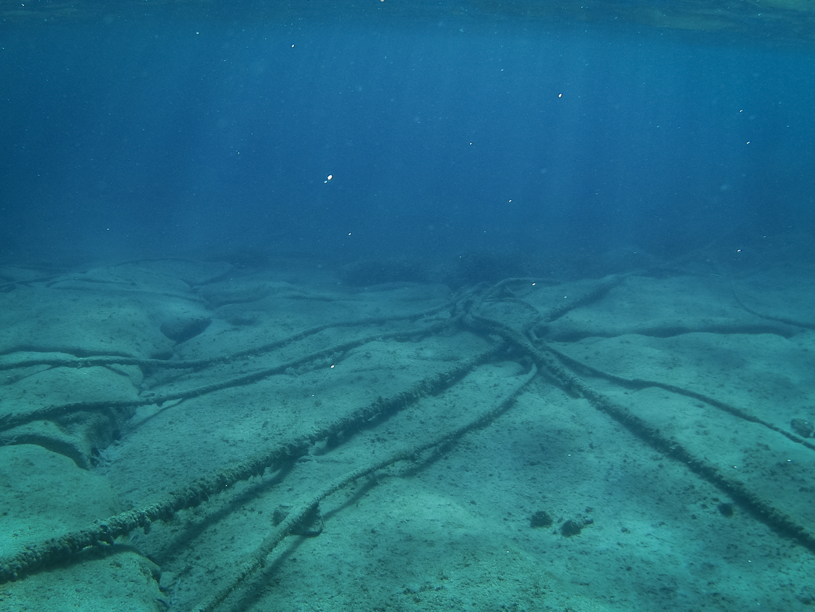 Institute for Postnatural Studies, project: L'Ocea Parla: Critical Cartography of Underwater Barcelona (fig. 4)