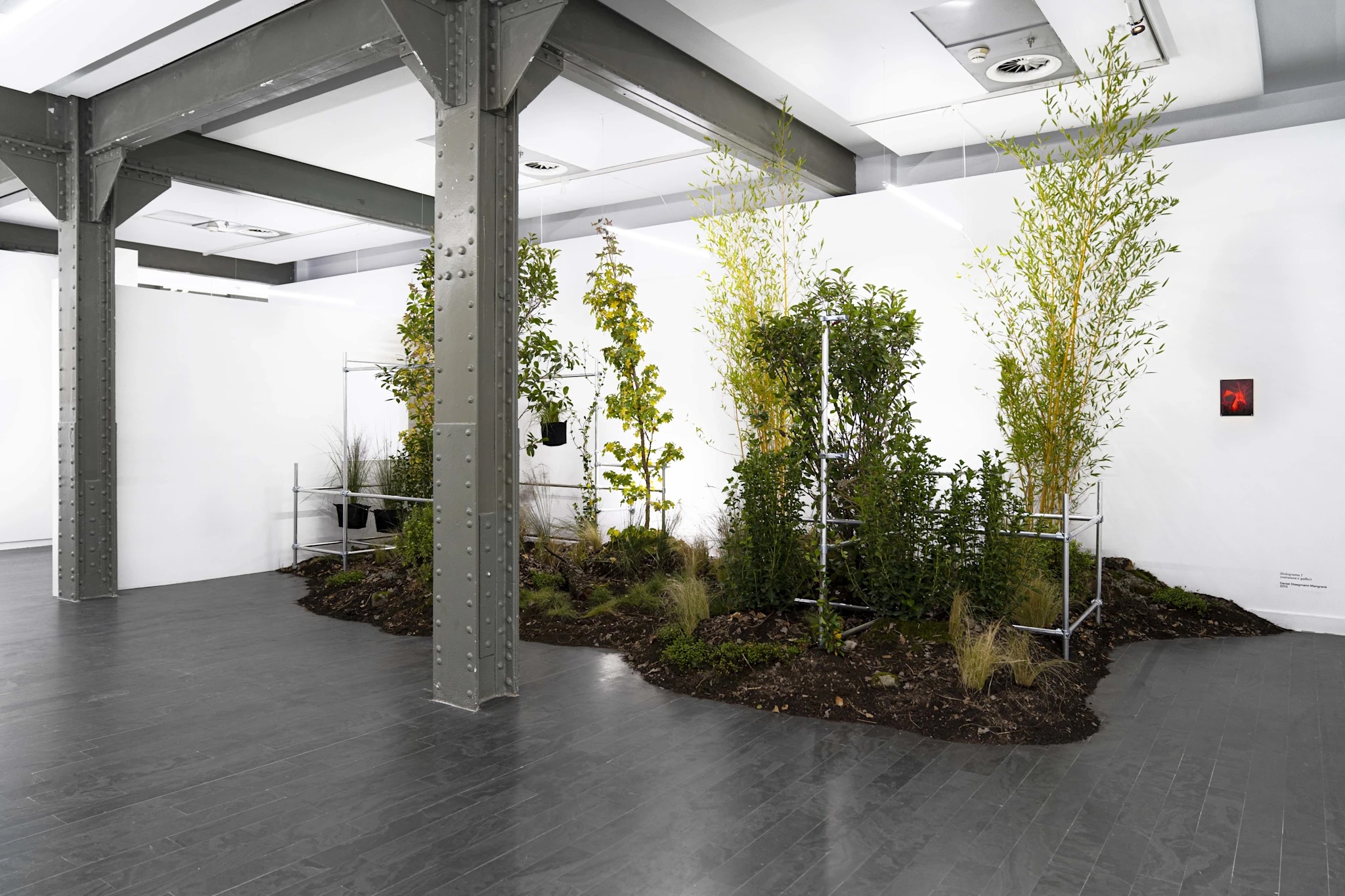 Institute for Postnatural Studies, project: A Green Jade Lake (fig. 2)