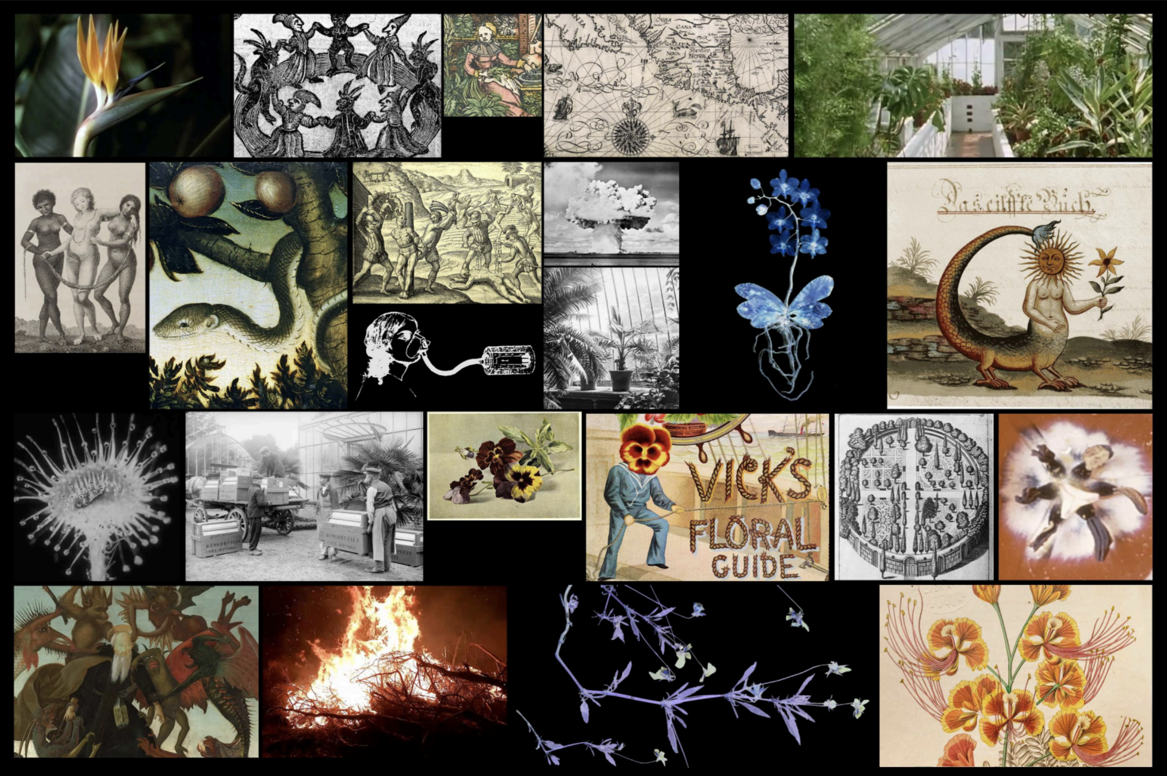 Institute for Postnatural Studies, project: METAPHYSICS OF MIXTURE: NOTES ON POSTNATURAL GARDENING (fig. 2)