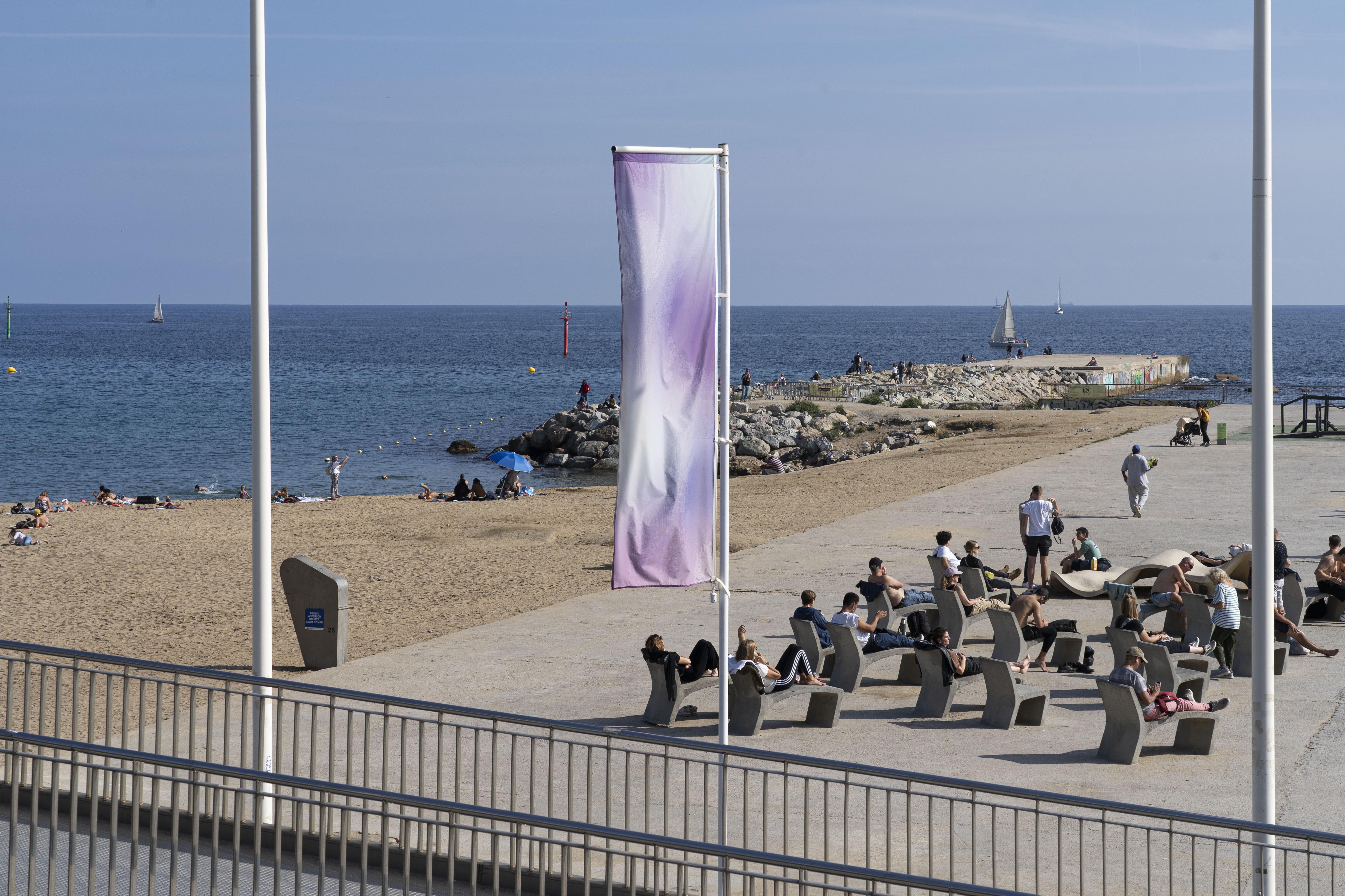 Institute for Postnatural Studies, project: Manifesta 15 Barcelona: Symphony of the Artificial Reef (thumbnail landscape)