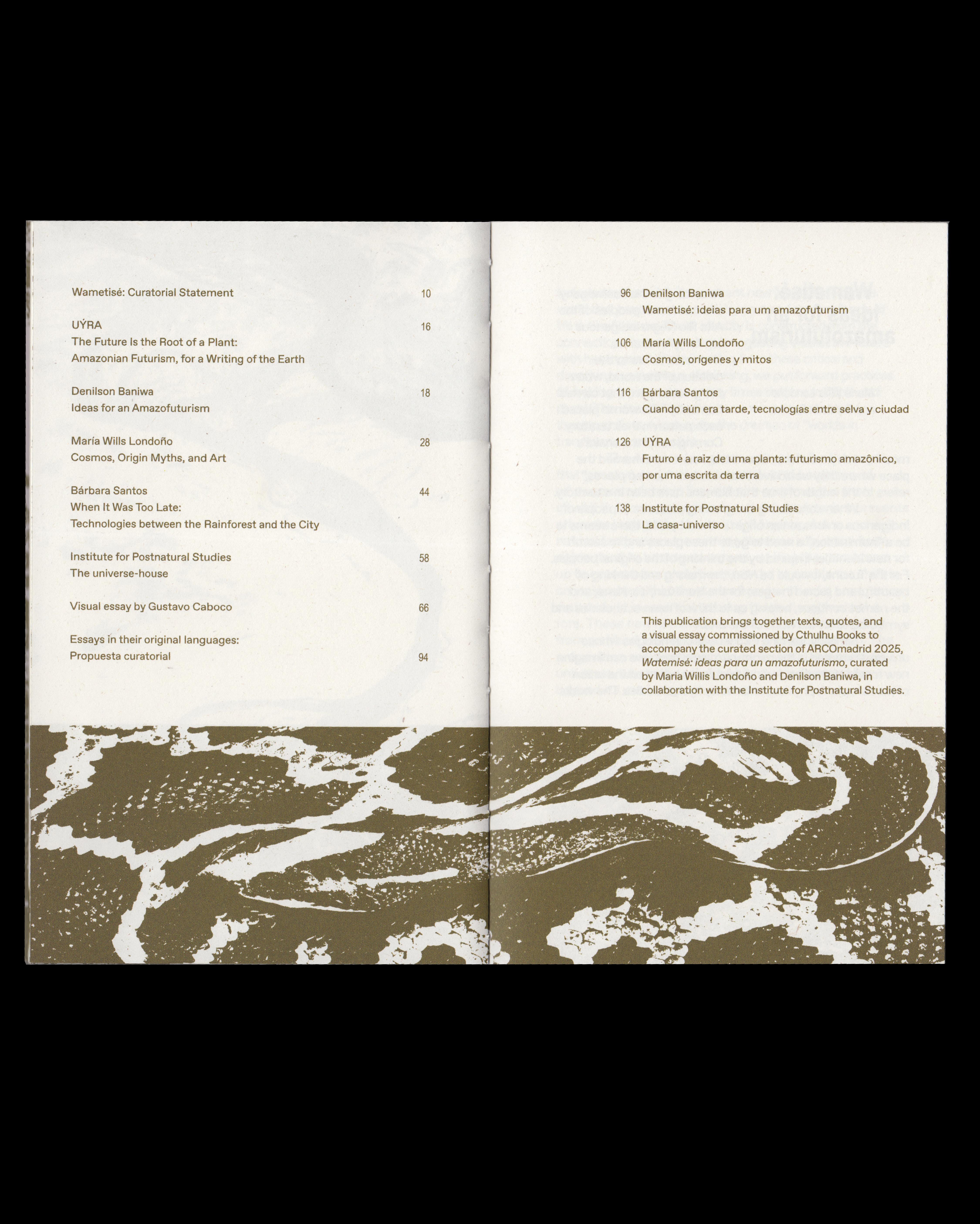 Institute for Postnatural Studies, project: Wametisé: Ideas for an Amazofuturism—ARCO 2025 (fig. 15)
