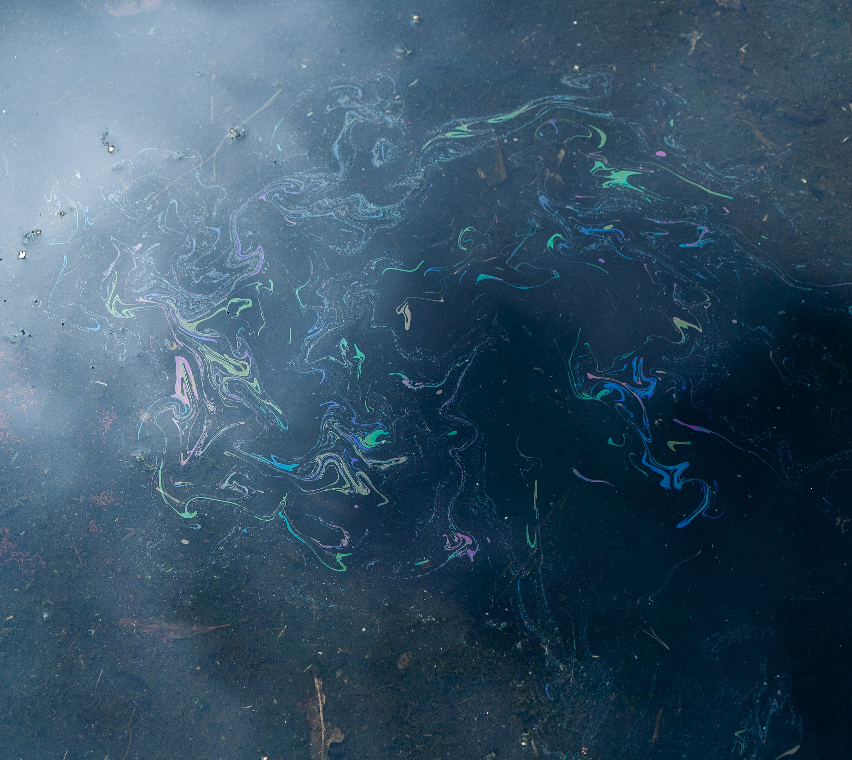 Institute for Postnatural Studies, project: FLUID TOXICITY (thumbnail landscape)