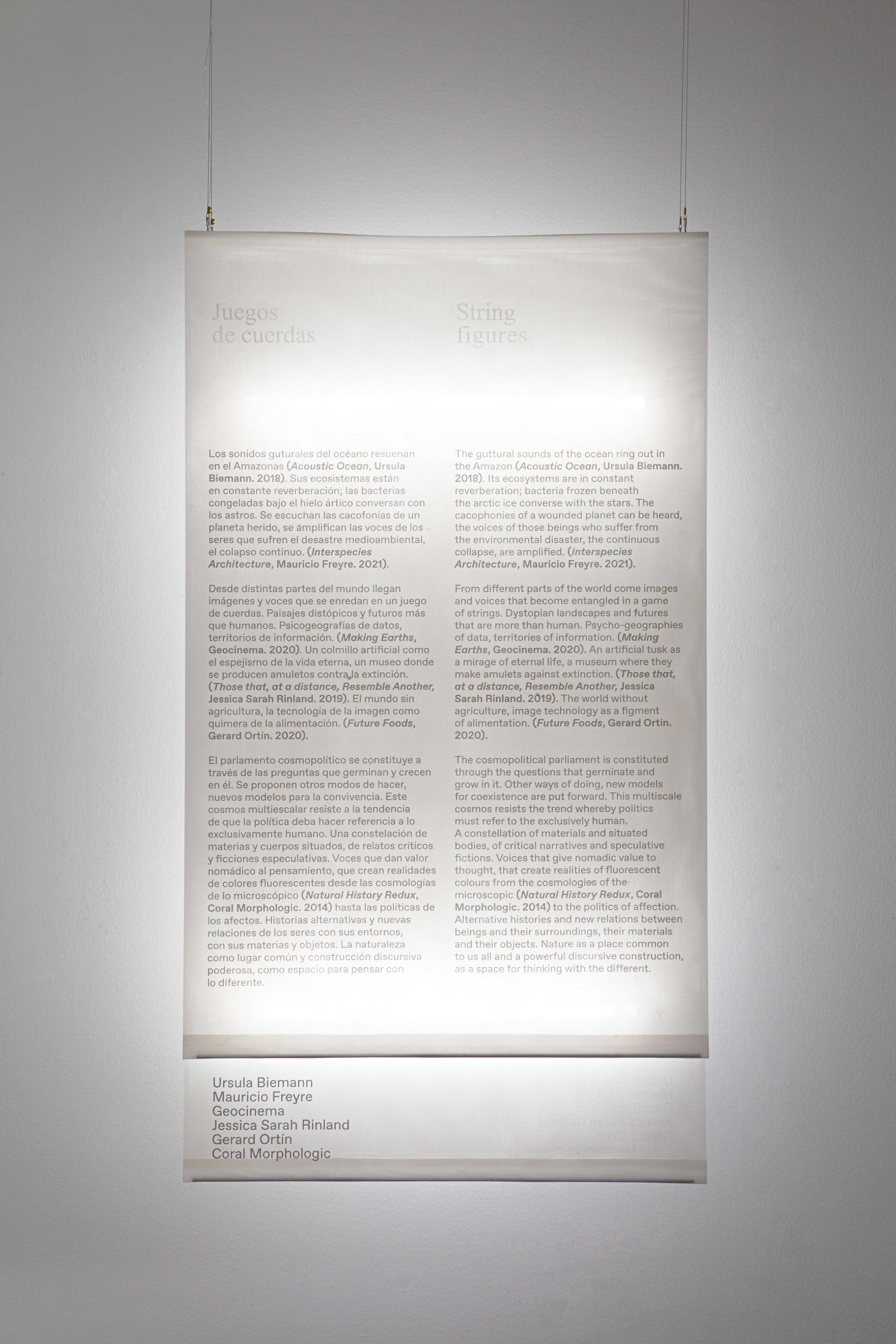 Institute for Postnatural Studies, project: A Green Jade Lake (fig. 18)