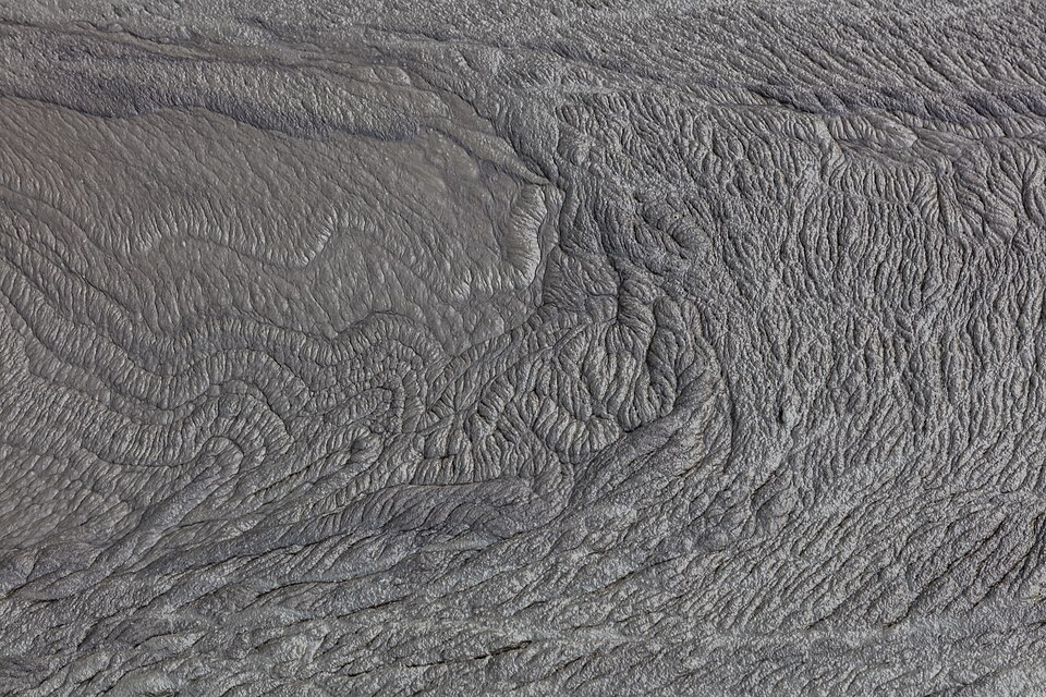 Institute for Postnatural Studies, episode: ¡Fango, qué rico fango! (thumbnail)