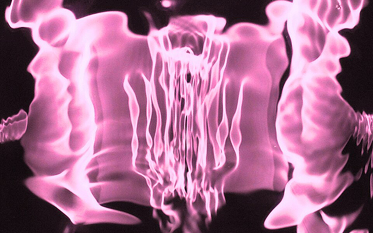 Institute for Postnatural Studies, course: Sound Ecologies vol. II (fig. 10)