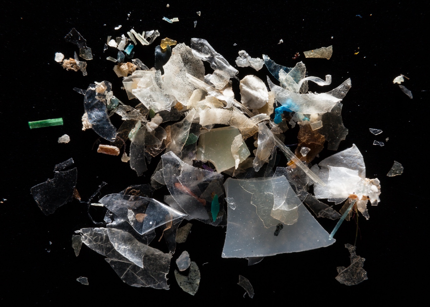 Institute for Postnatural Studies, course: POSTNATURAL MATTER (fig. 1)