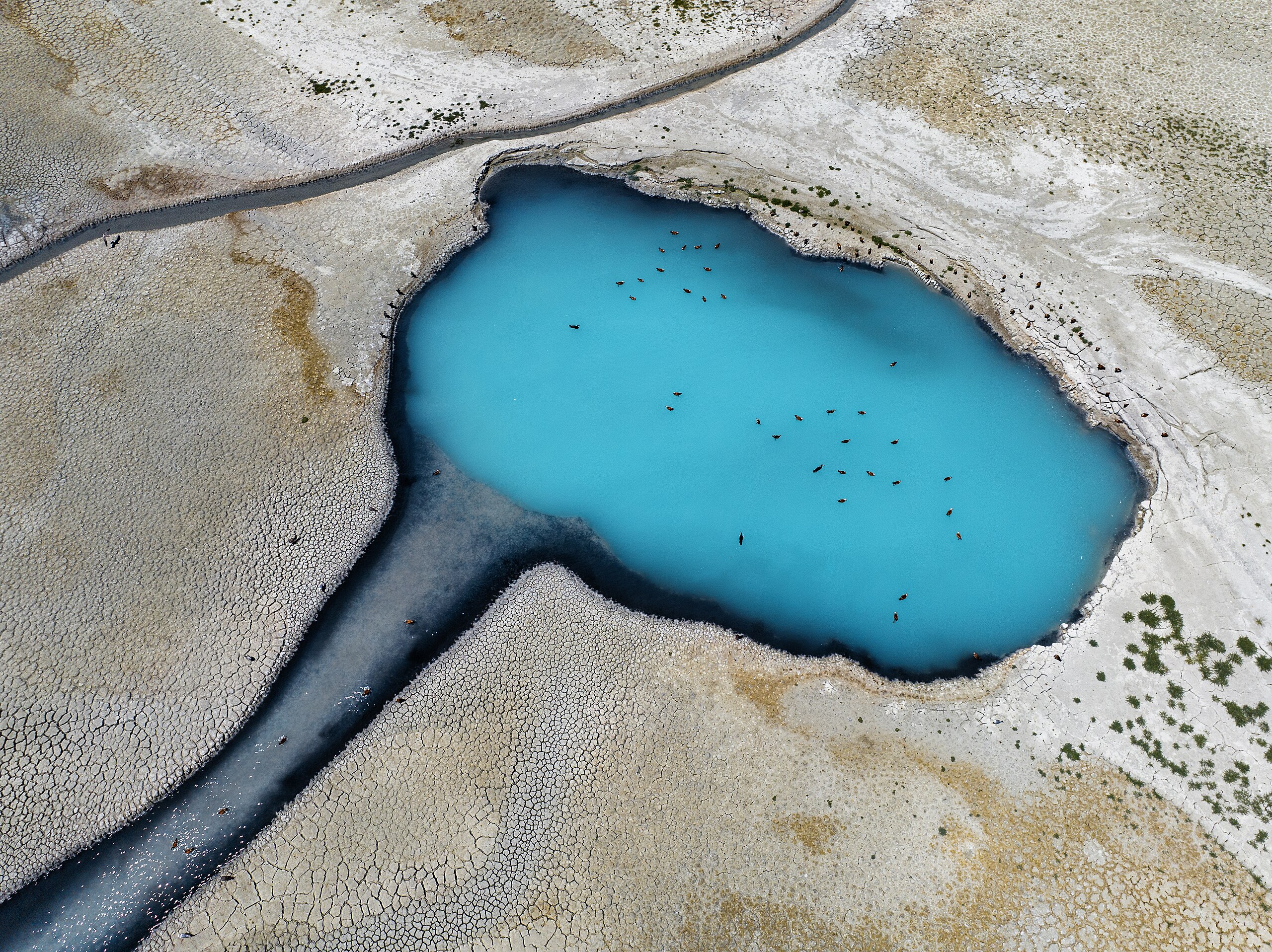 Institute for Postnatural Studies, course: Blue Ecologies ~ Sweet (fig. 3)