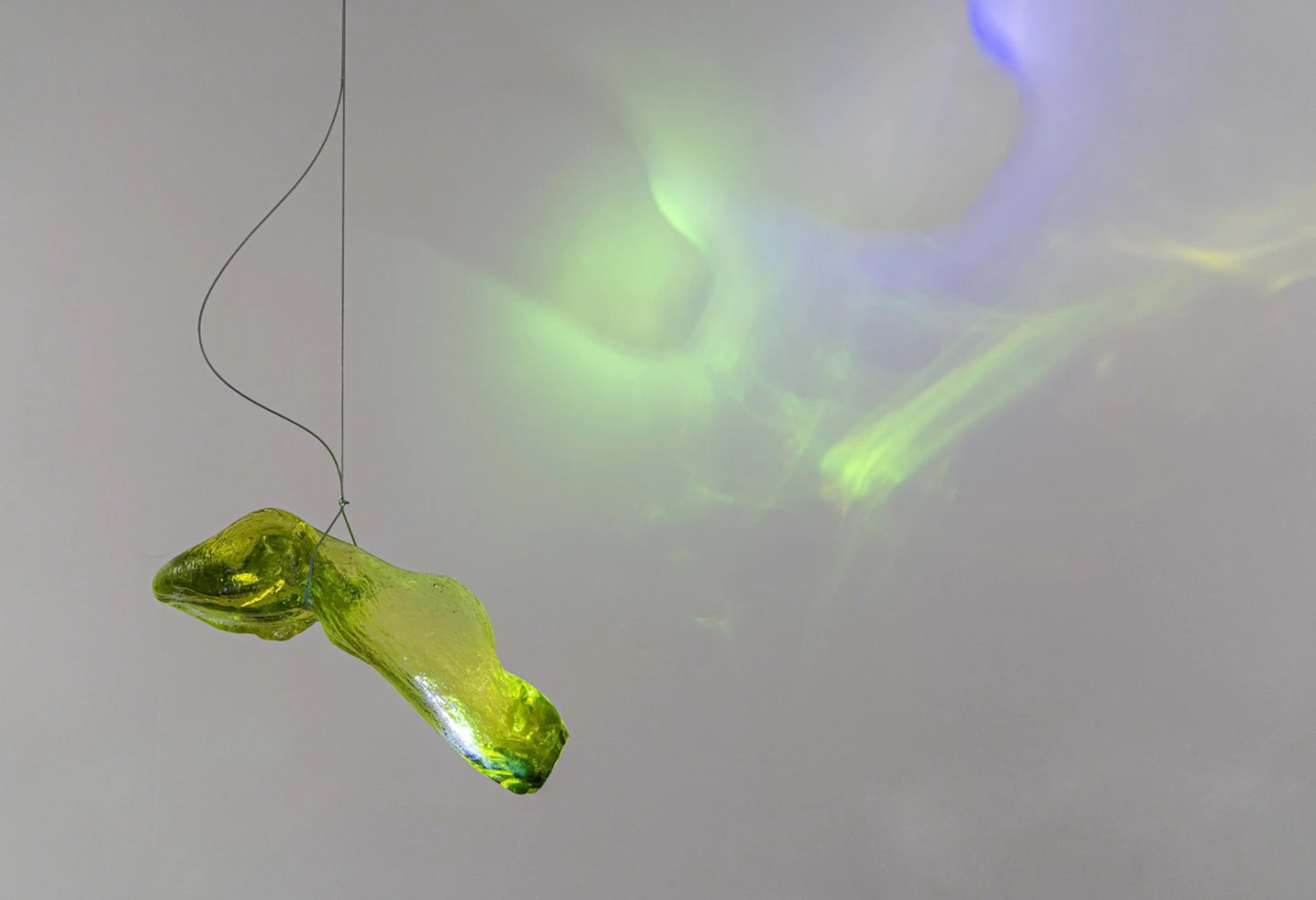 Institute for Postnatural Studies, project: A Green Jade Lake (fig. 12)