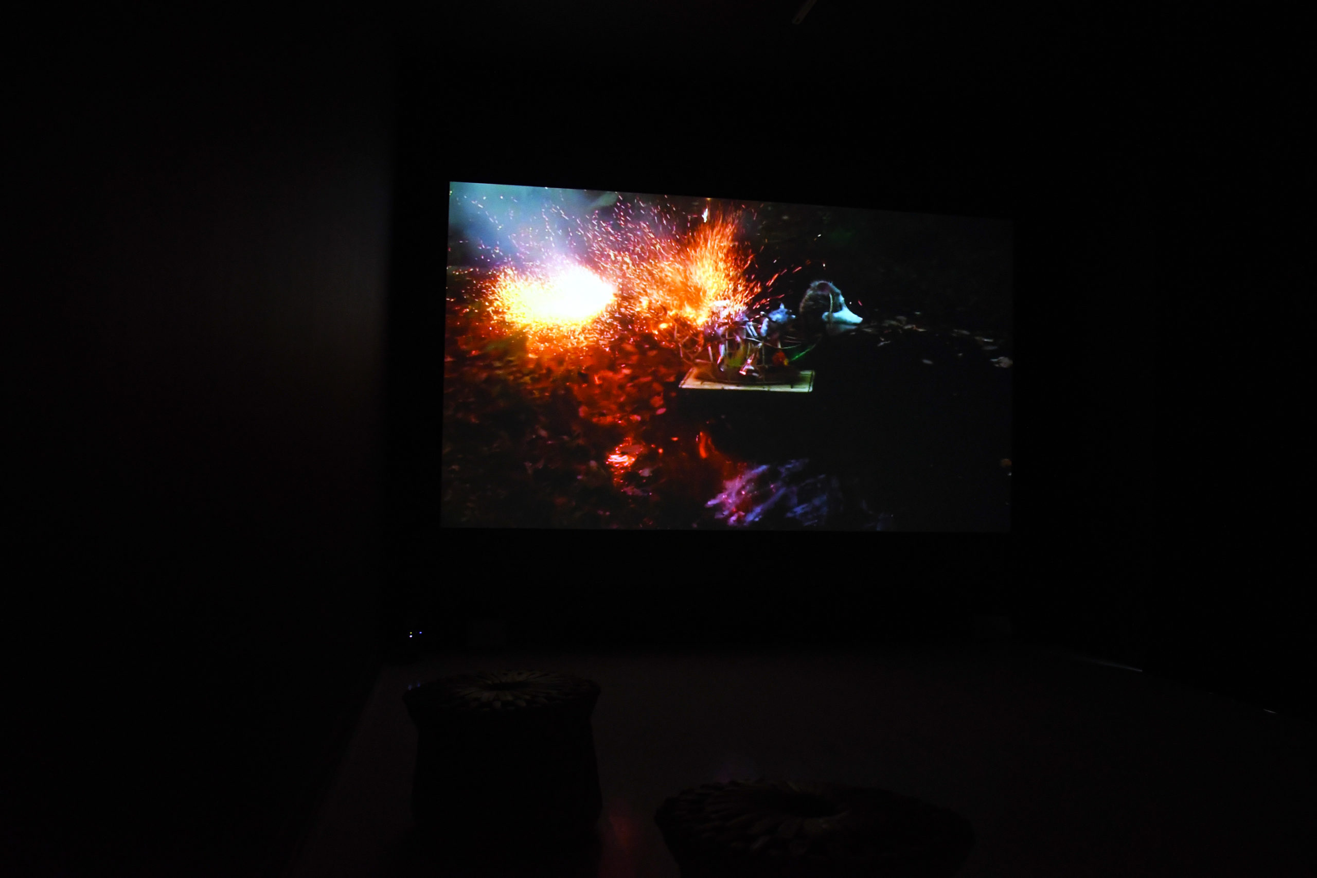 Institute for Postnatural Studies, project: SER MONTAÑA (thumbnail landscape)