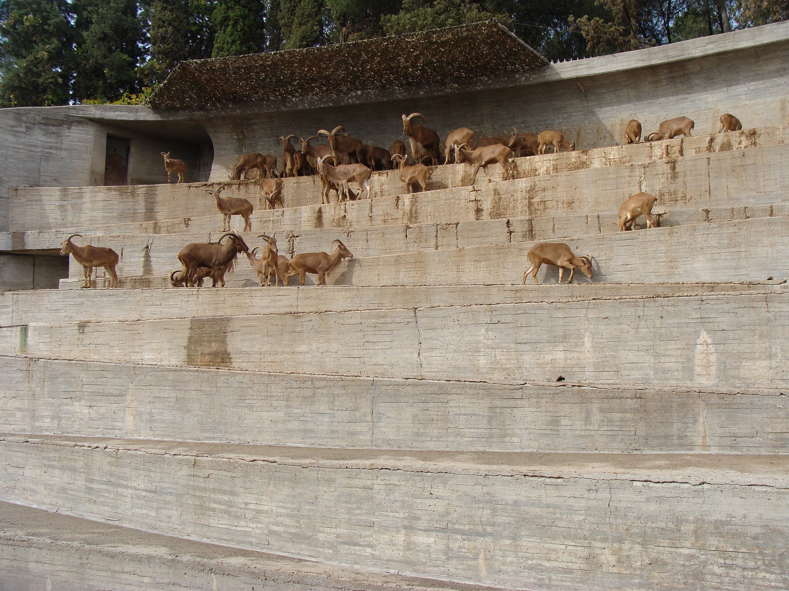 Institute for Postnatural Studies, course: For, Against, After, Towards—Architecture Beyond the Human (fig. 2)