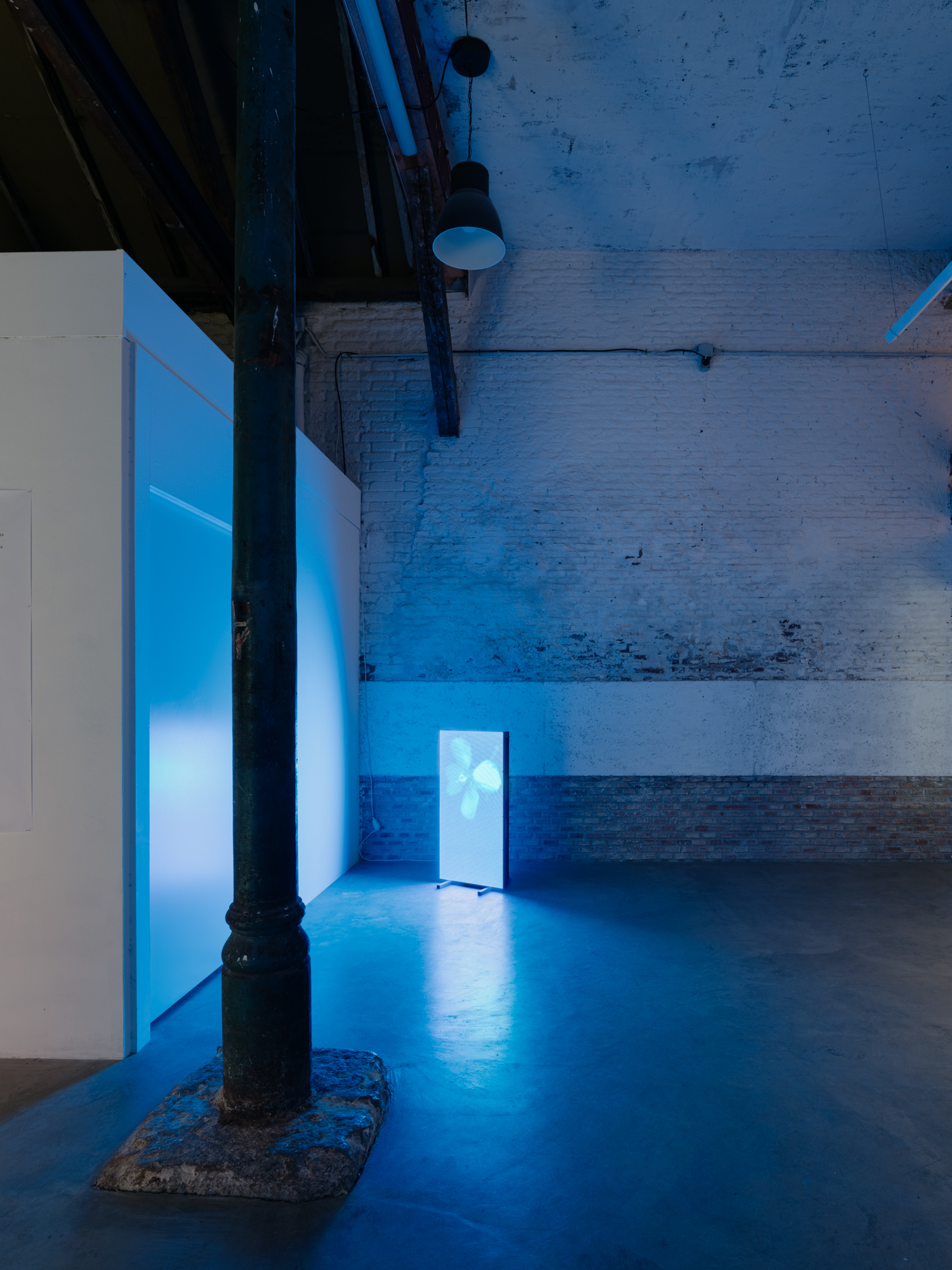 Institute for Postnatural Studies, project: Peyōni (fig. 4)