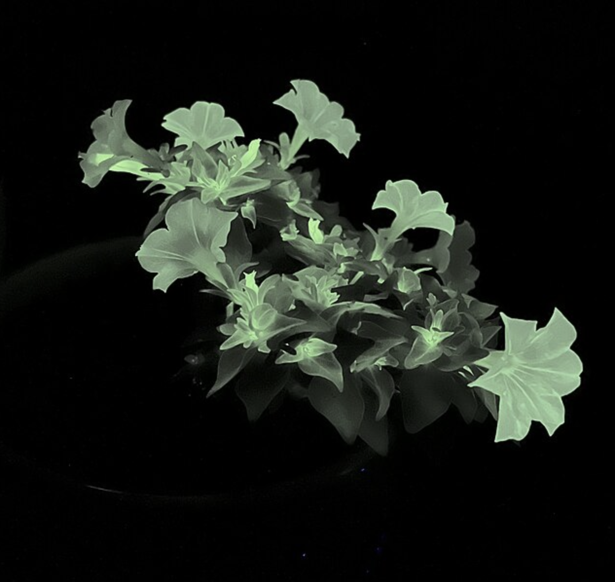 Institute for Postnatural Studies, course: POSTNATURAL MATTER (fig. 4)