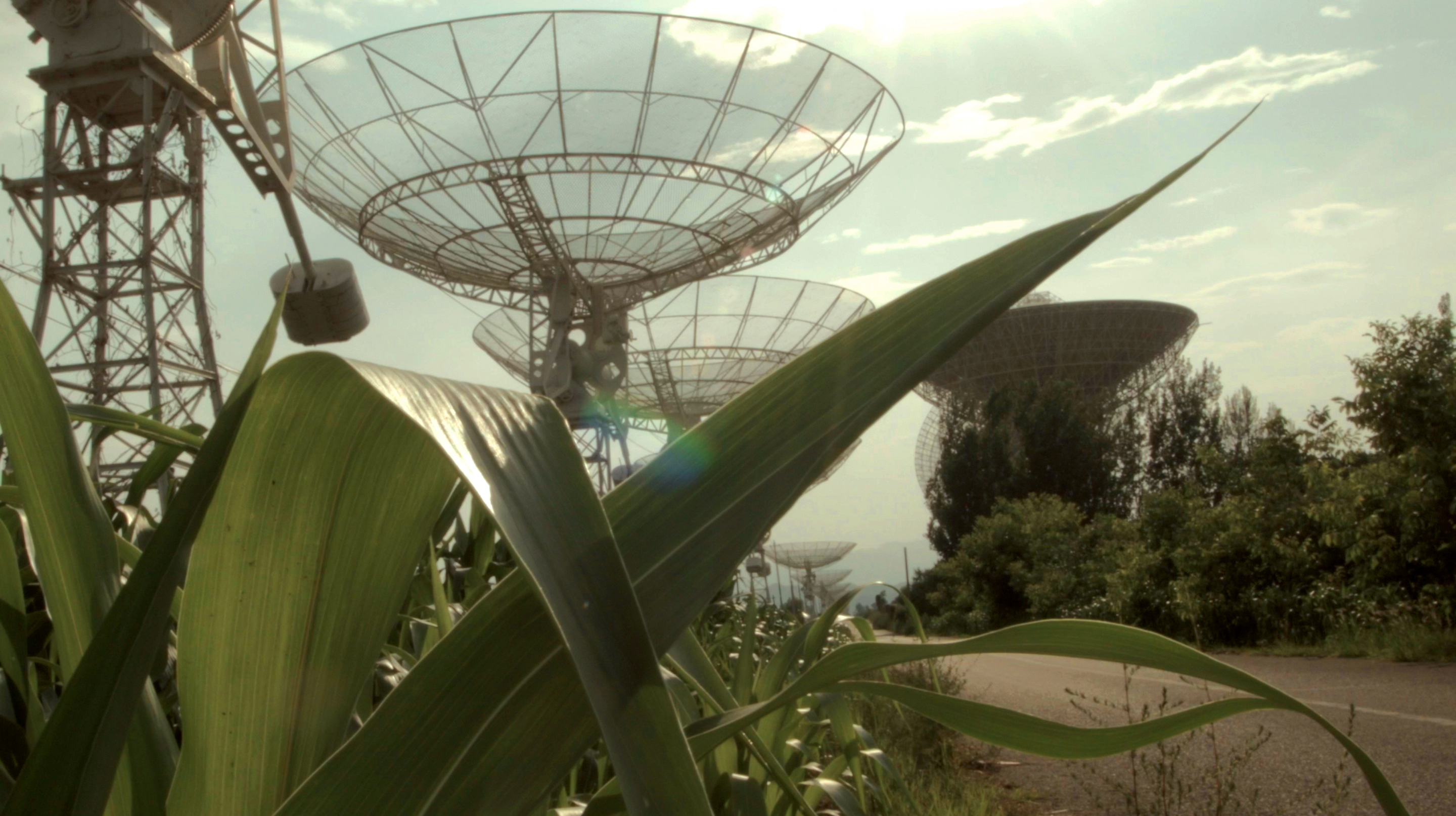 Institute for Postnatural Studies, project: A Green Jade Lake (fig. 7)