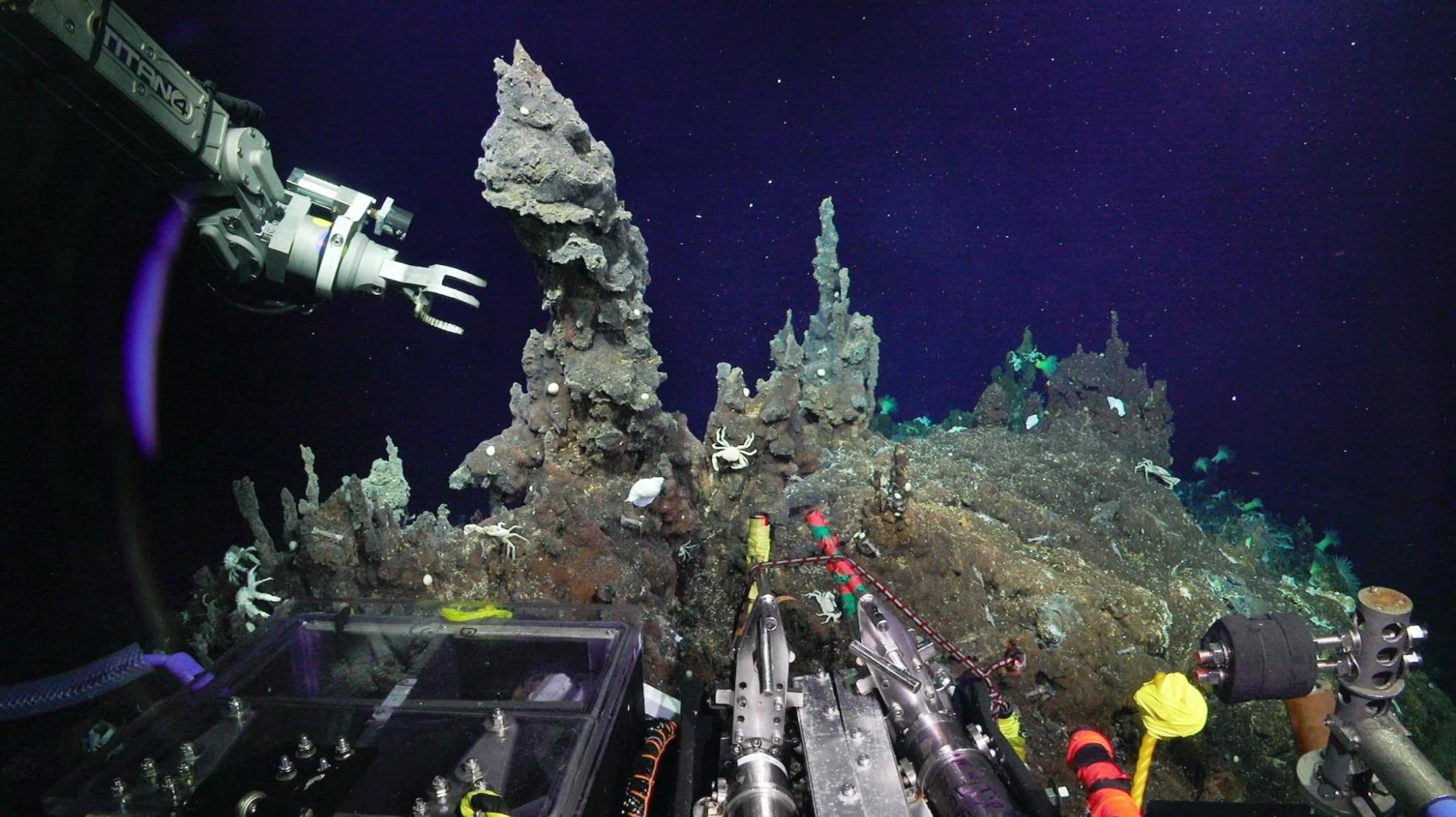 Institute for Postnatural Studies, project: FROM FLESH TO DATA (fig. 9)