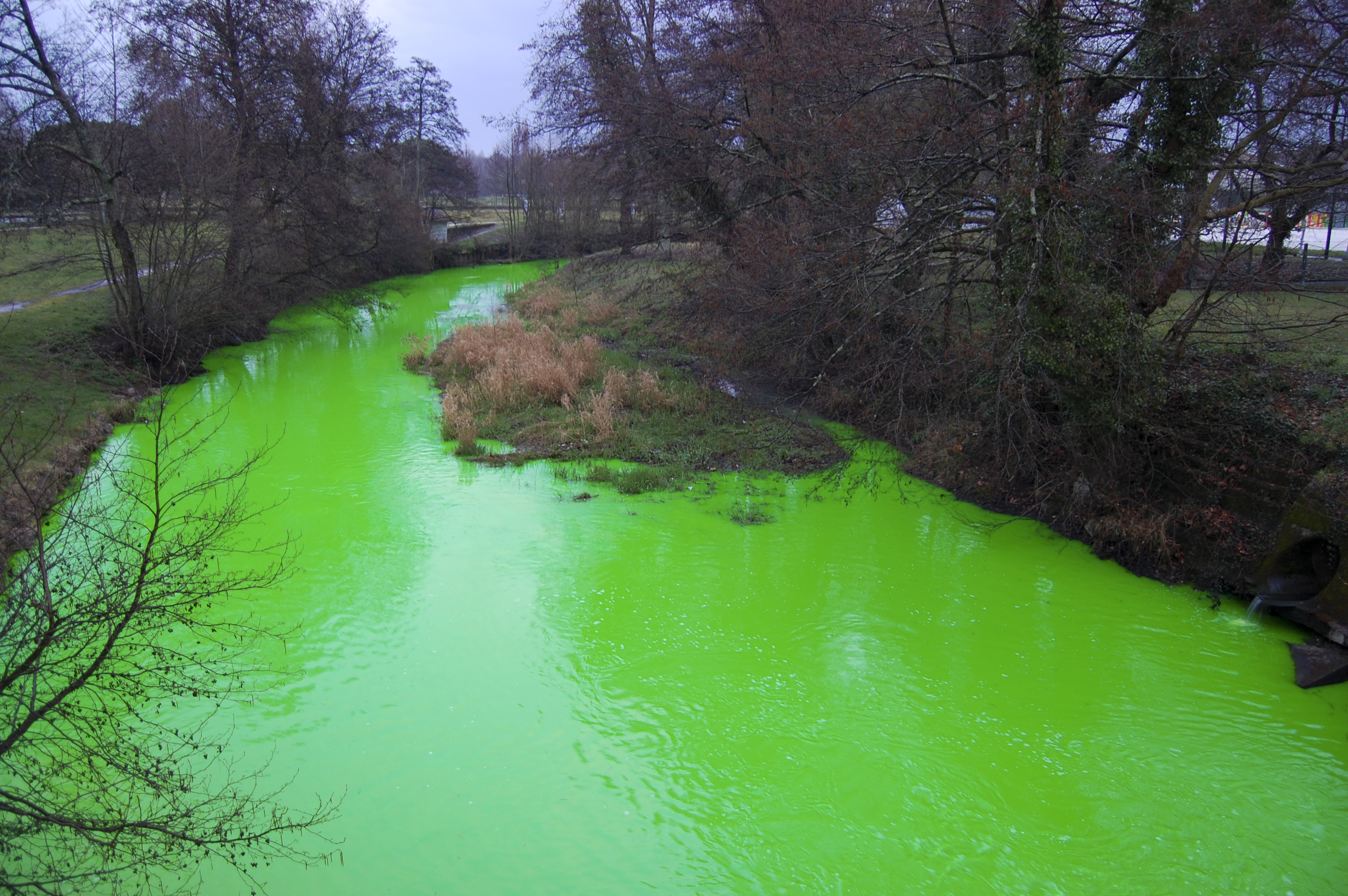 Institute for Postnatural Studies, course: WHAT IS POSTNATURE? (fig. 5)