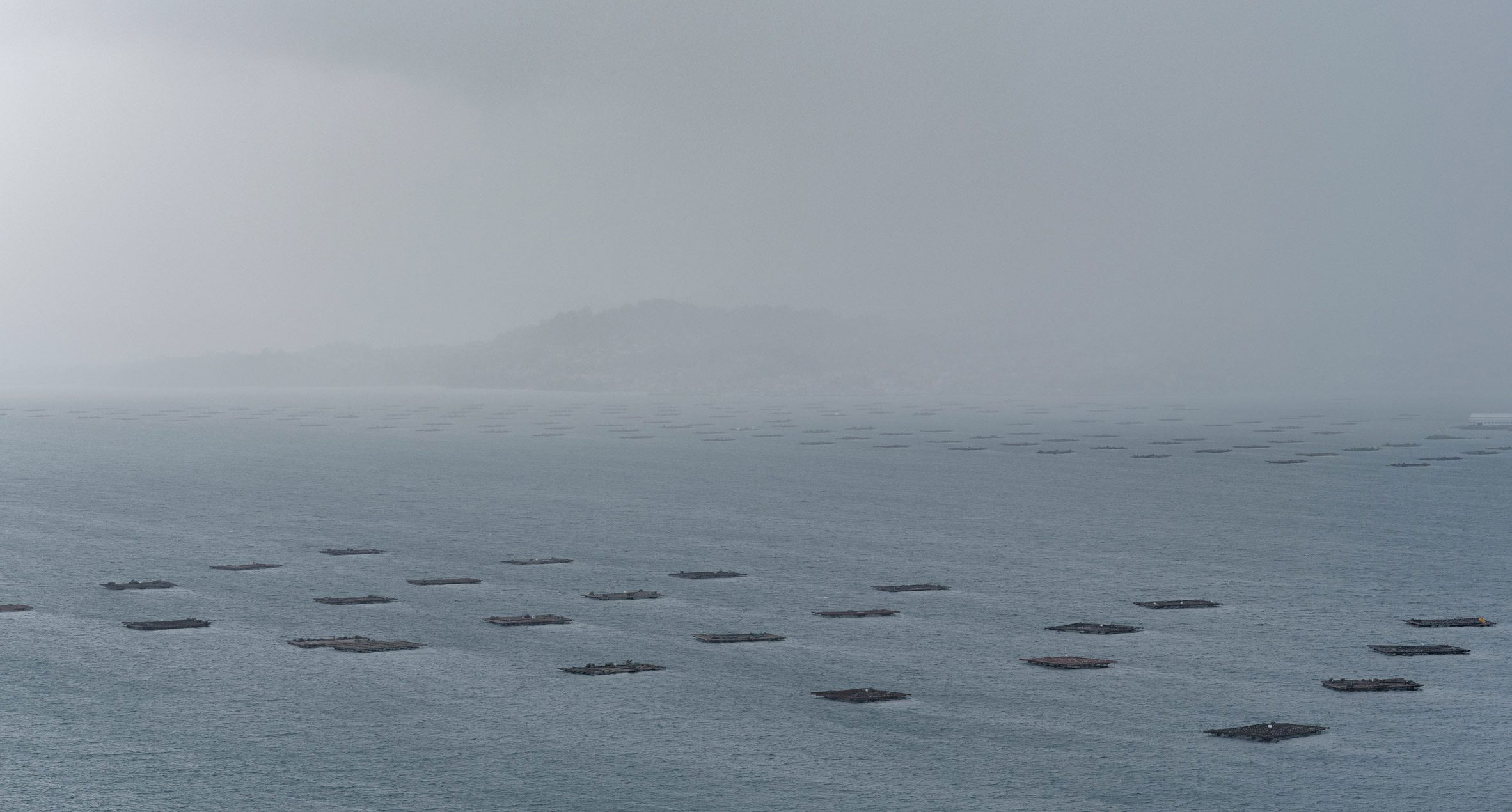 Institute for Postnatural Studies, project: FROM FLESH TO DATA (thumbnail landscape)