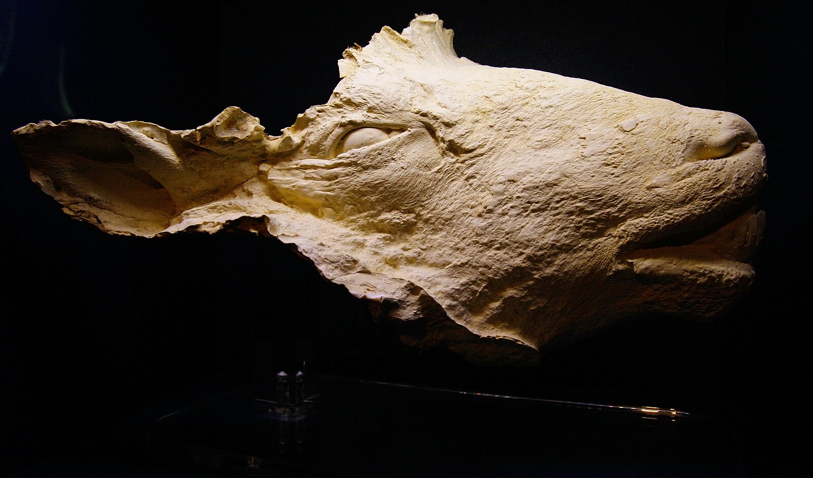 Institute for Postnatural Studies, course: POSTNATURAL MATTER (fig. 2)