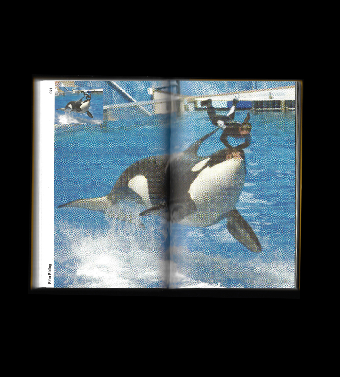 Institute for Postnatural Studies, project: ZOO INDEX: An Incomplete Listening Guide For Zoos (fig. 7)